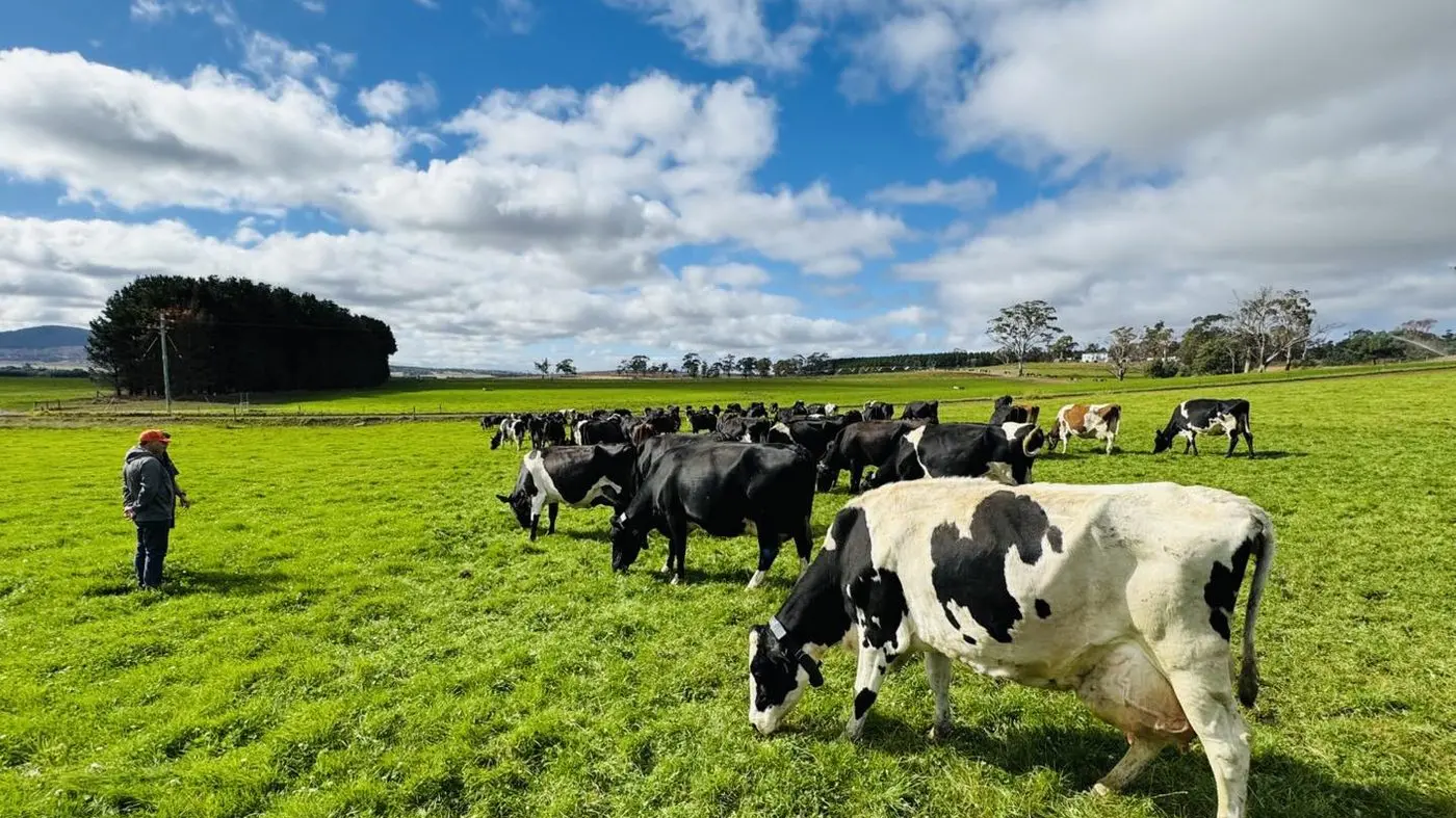 Job cuts deeply troubling: Donato