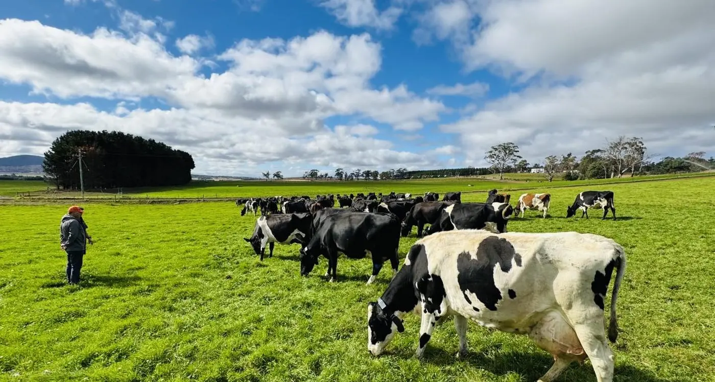 Job cuts deeply troubling: Donato