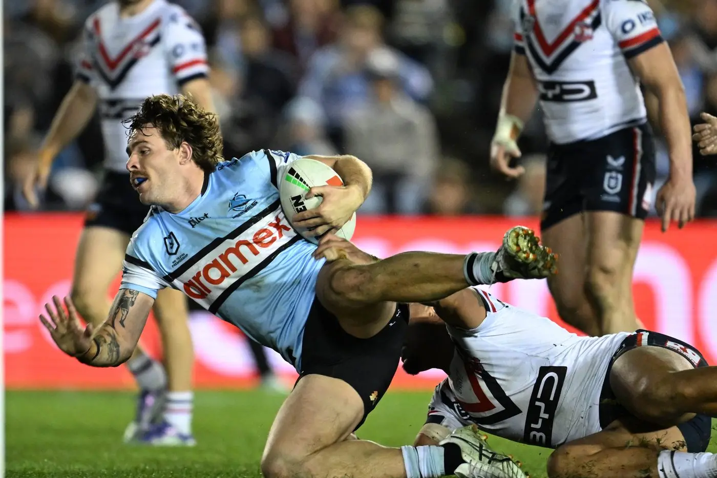 Billy Burns from Parkes has re-signed with the Cronulla Sharks until at least the end of 2026. Here he is in round 20 against the Roosters, during which he scored his second try of the season. PHOTOS: NRL Imagery