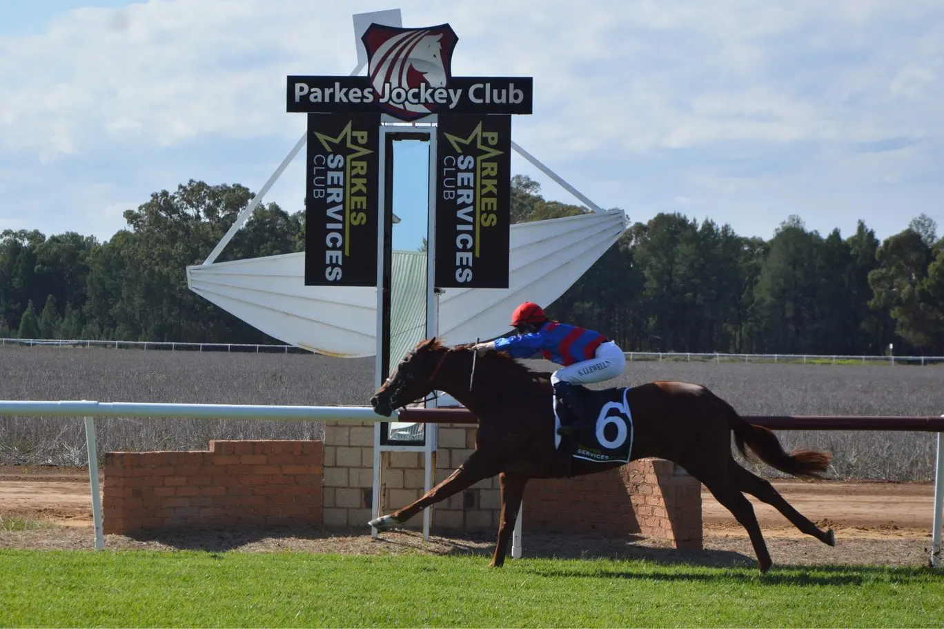 Amoruso and jockey Shannen Llewellyn were clear winners of the $100,000 Xtra Bonus Country Boosted Maiden Handicap, by more than two body lengths. PHOTO: Christine Little