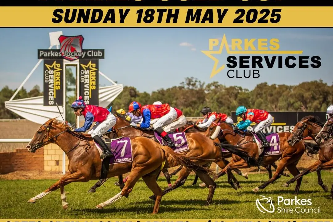 The Parkes Gold Cup is on this Sunday, 18 May.