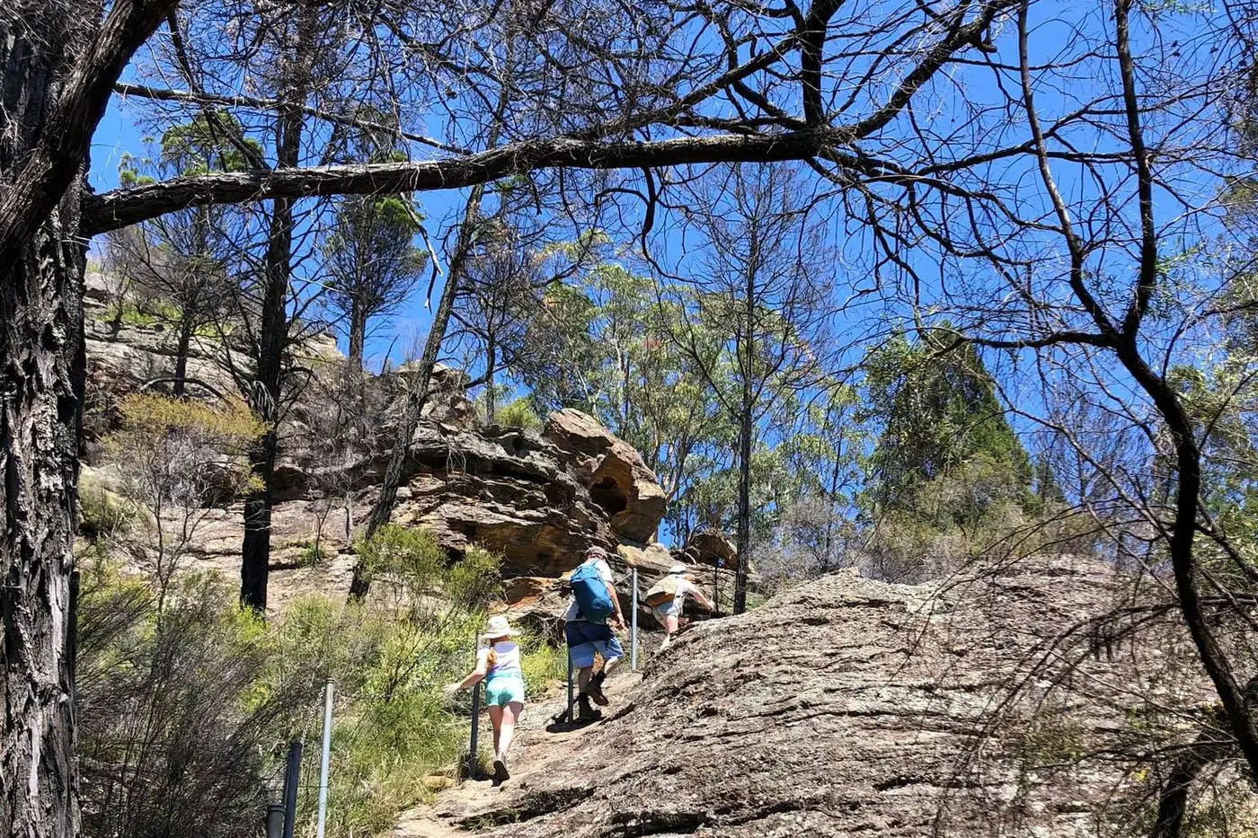 National parks do more than protect our environment, they\\u2019re a crucial outlet for tourists and families to escape into nature.
