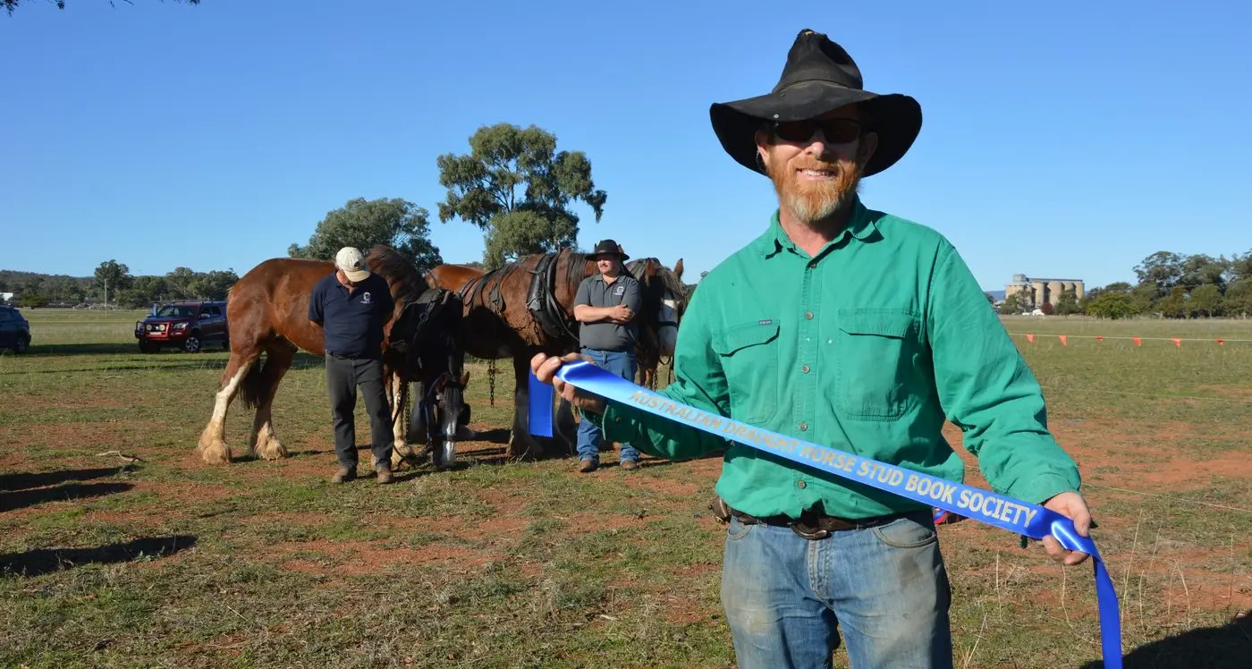 More wins from Golden Plough and it'll be back next year