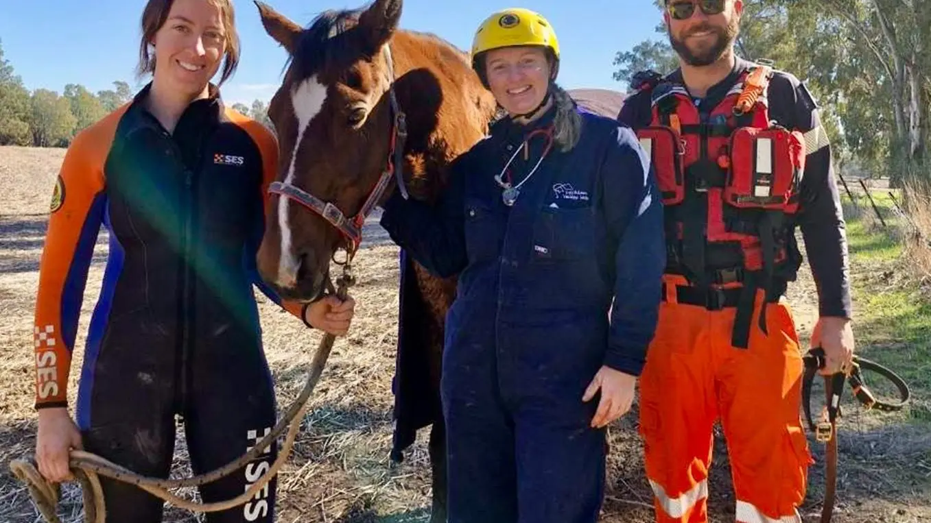 SES to rescue of horse trapped in muddy river