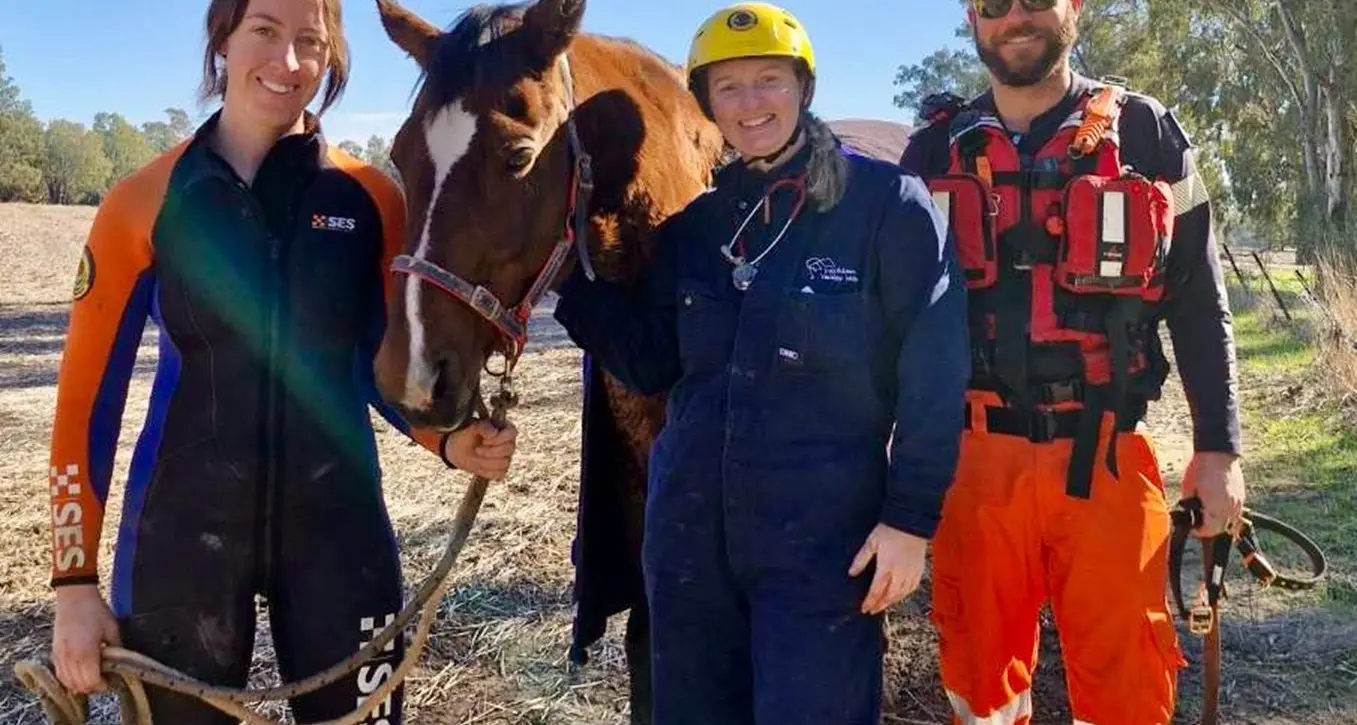 SES to rescue of horse trapped in muddy river