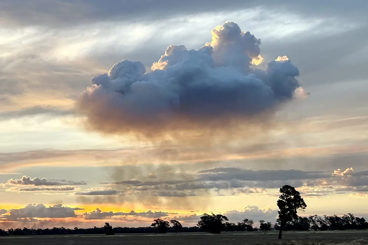 Junior runner-up: Special rain cloud, Kasey Morgan (Parkes)