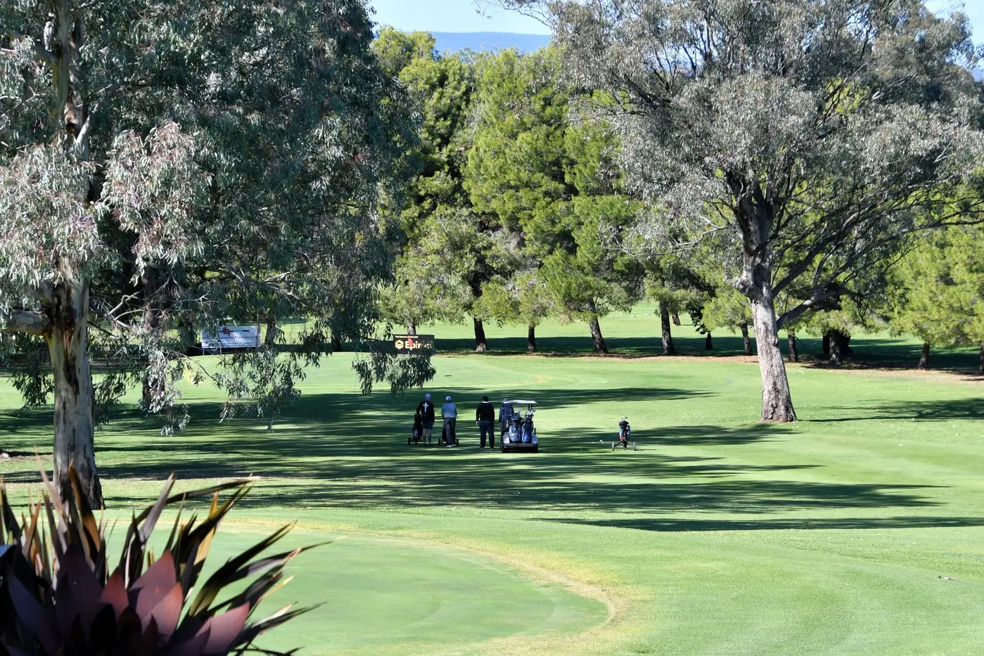 Conditions started off a bit foggy until mid morning, gradually breaking up to provide good conditions for the afternoon. Photo by Jenny Kingham.