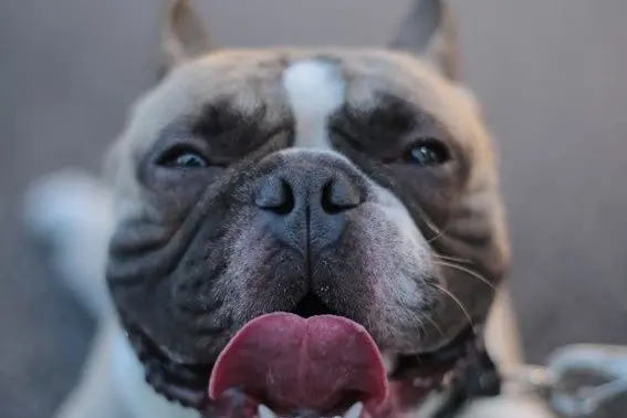 Preventing heatstroke is as much about preparation and awareness as it is about quick action when needed. PHOTO: Supplied