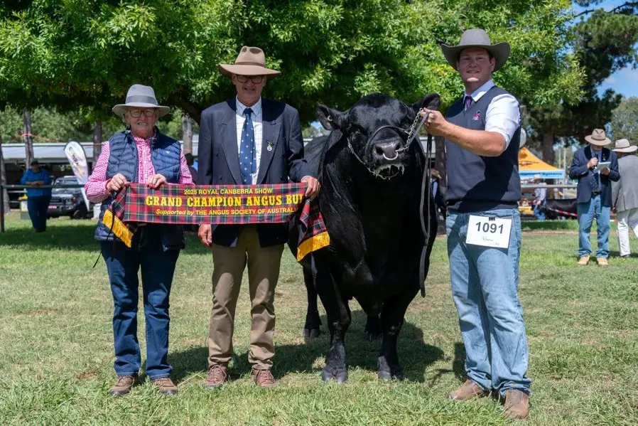 Lyn Frecklington (Hollywood Angus), Peter Collins (Judge) and Ciaran Newton (Parader) with 2024 and 2025 Canberra Royal Grand Champion Angus Bull. PHOTO: Supplied