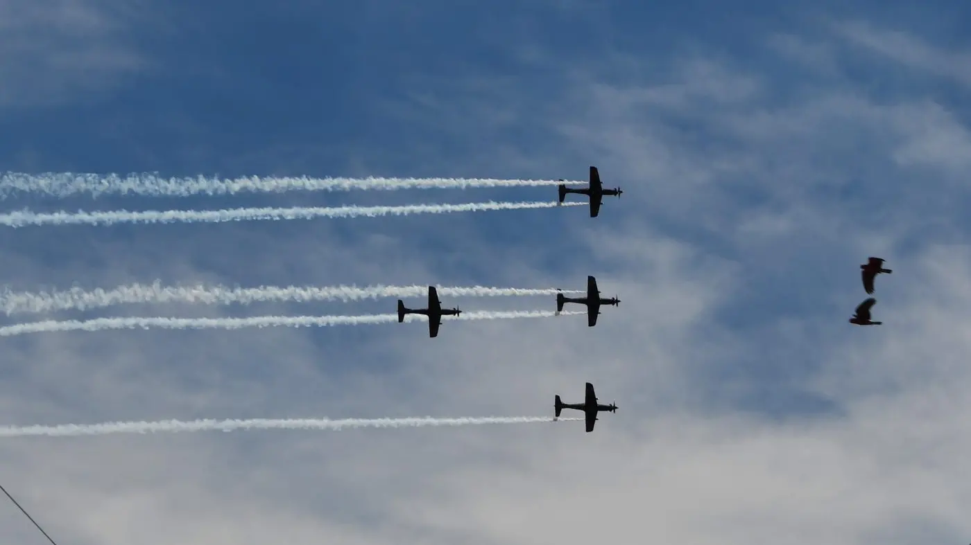 Families love seeing Roulettes