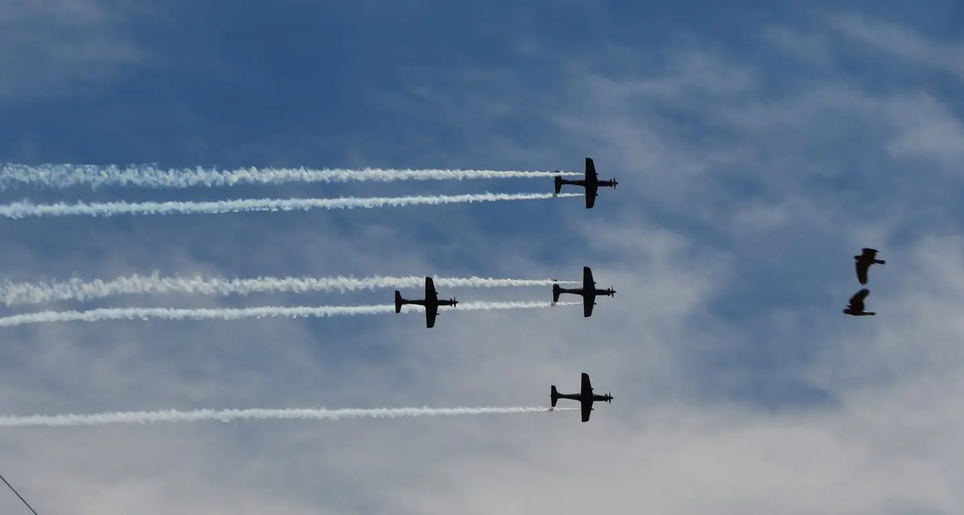 Families love seeing Roulettes