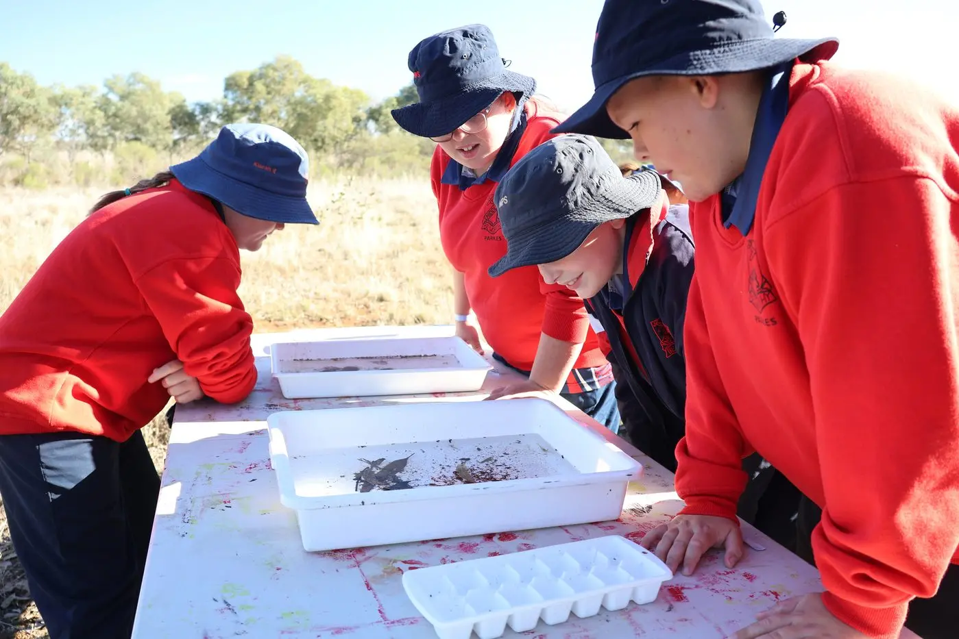 Middleton Public School students learn how to assess water quality by identifying water bugs in water samples.