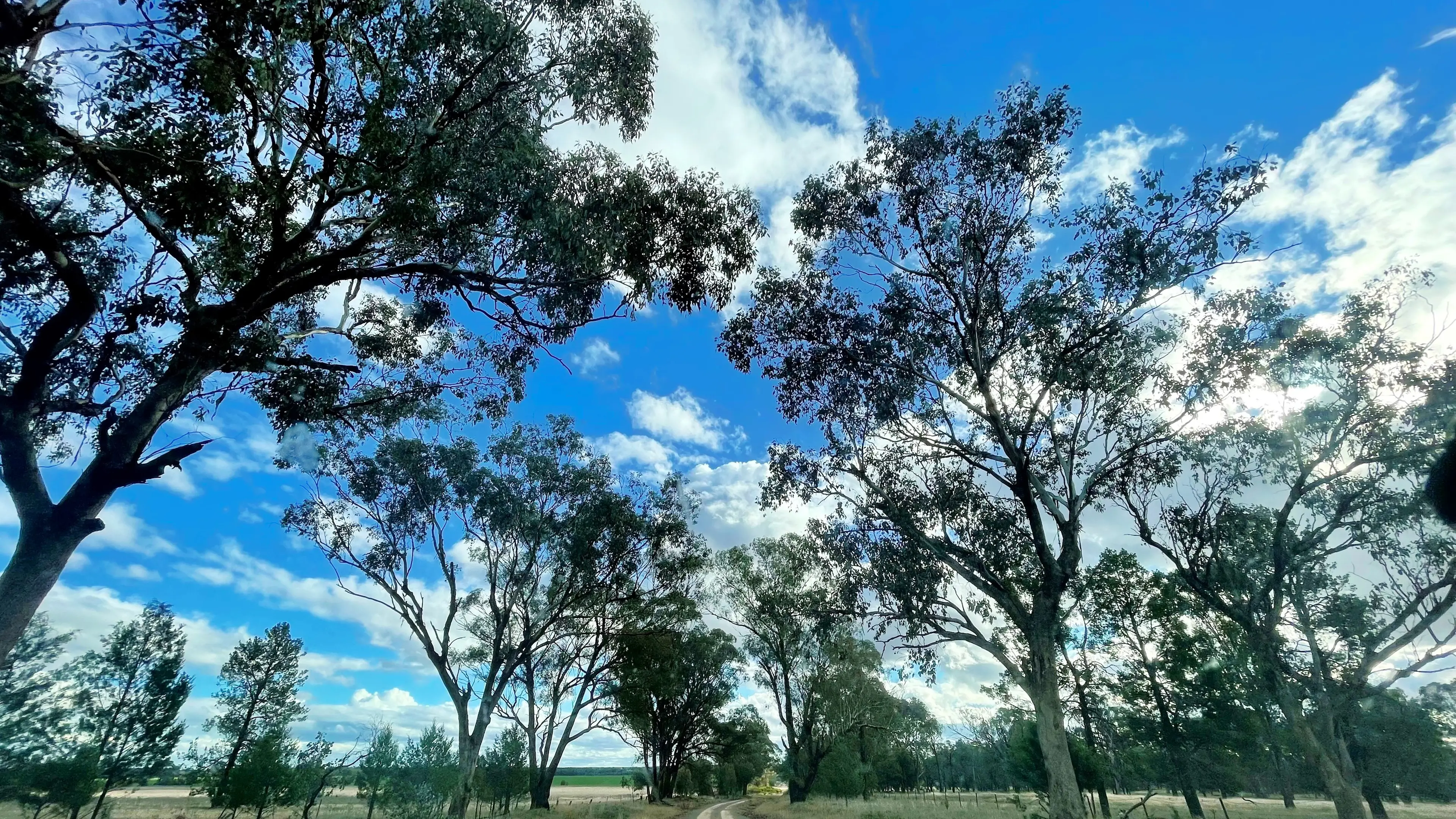 Lower speeds proposed for country roads