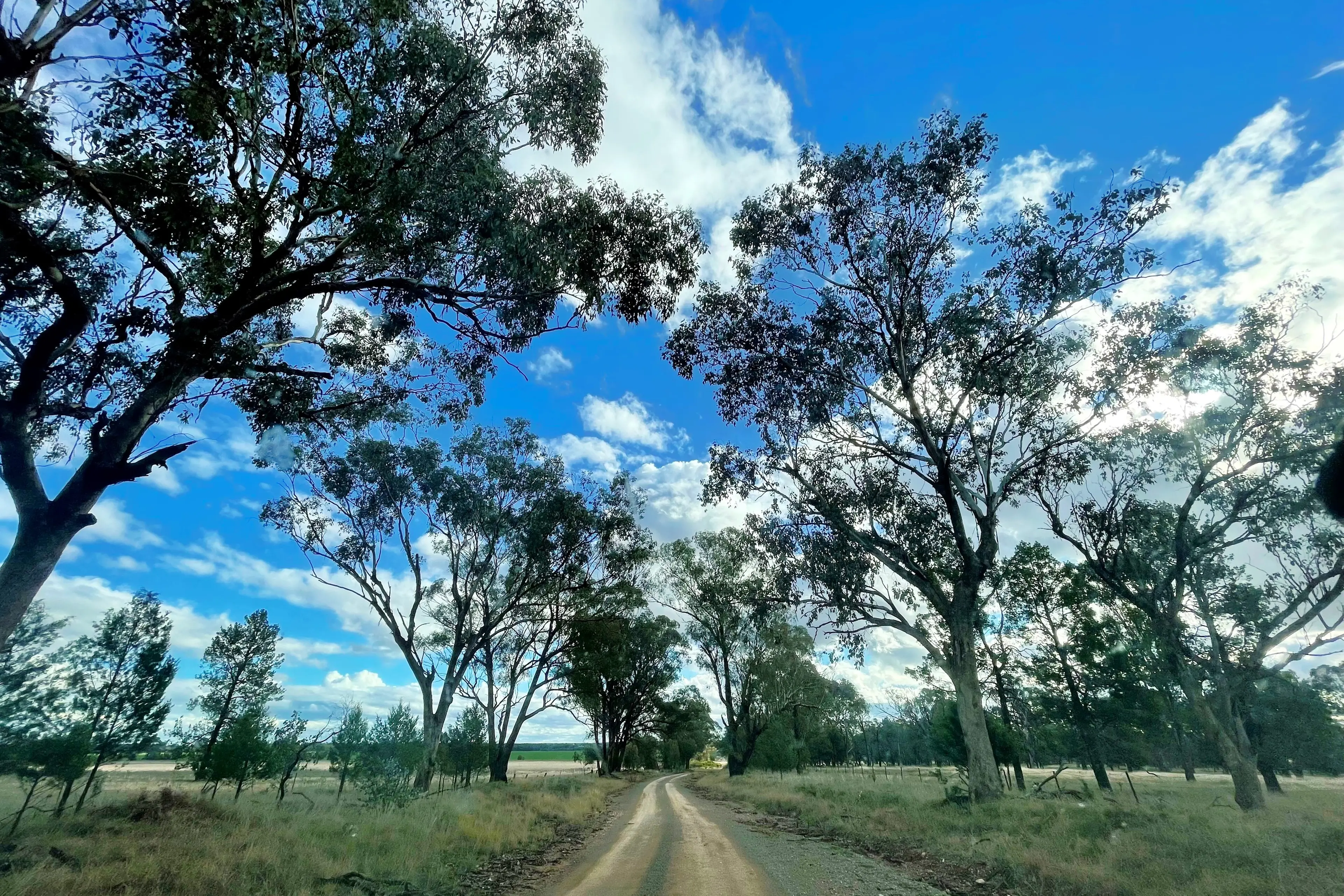 Lower speeds proposed for country roads