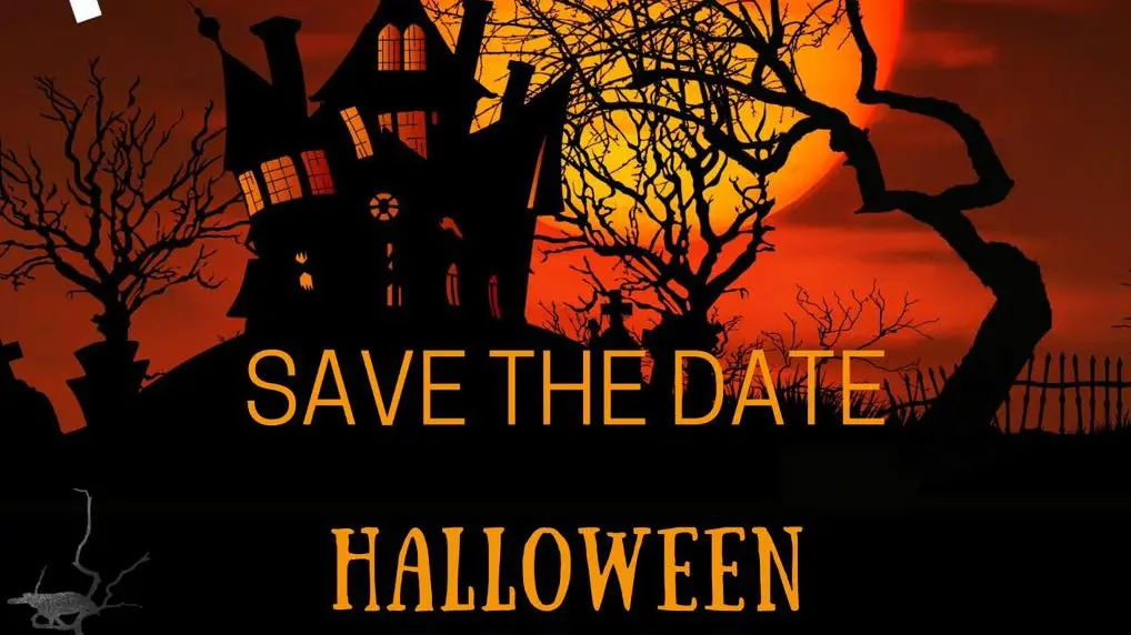 What's on in and around Parkes