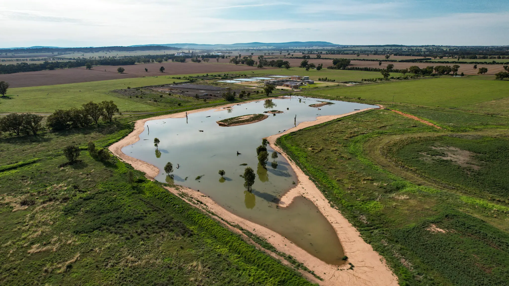 Calling all artists to add their touch to wetlands