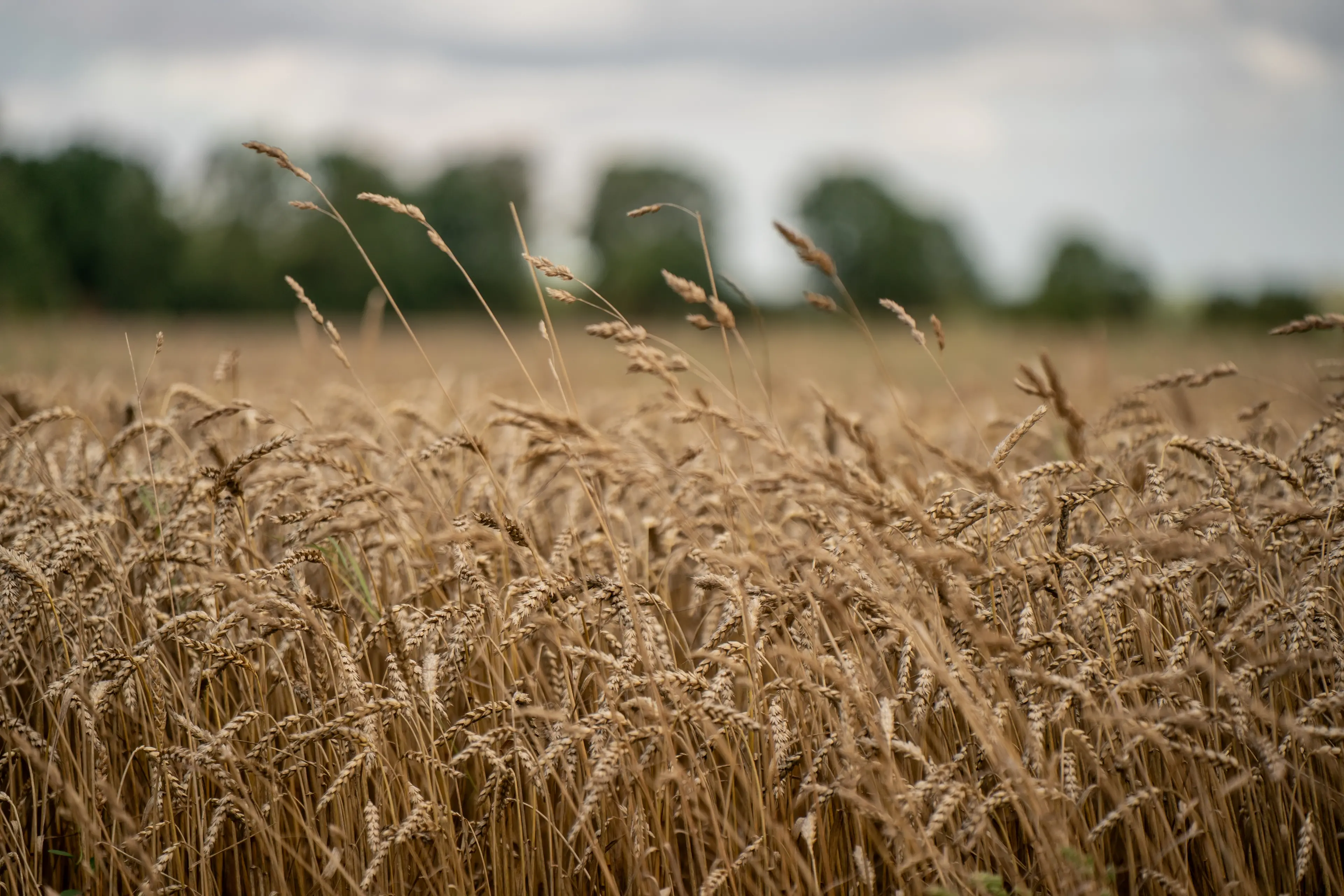 <p>File photo.</p>\\n