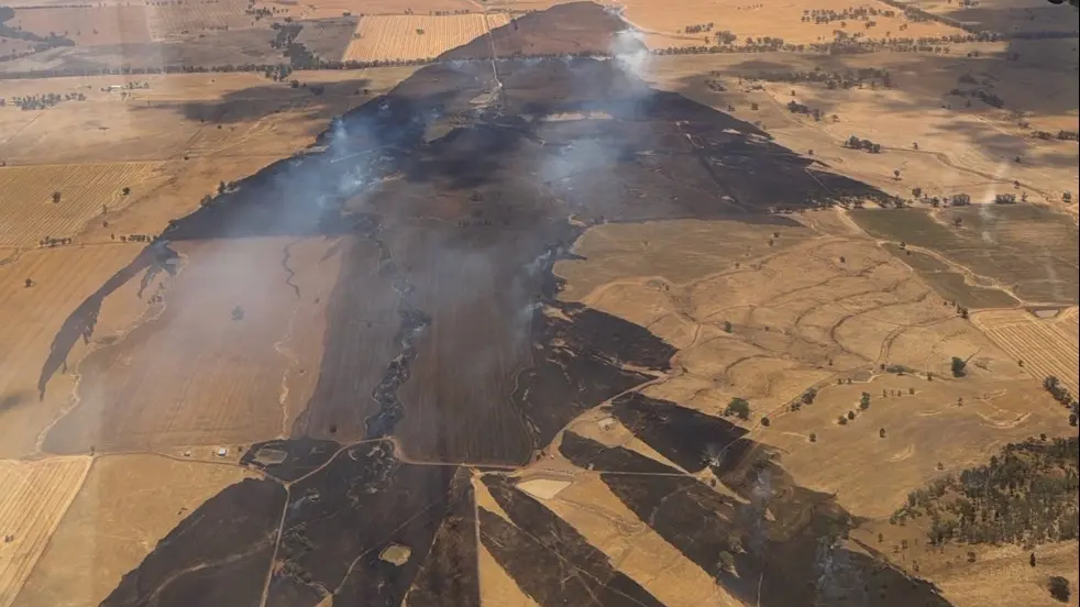 Miraculous firefighting efforts