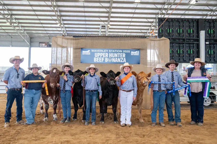 Peak Hill shine in cattle rings around the state