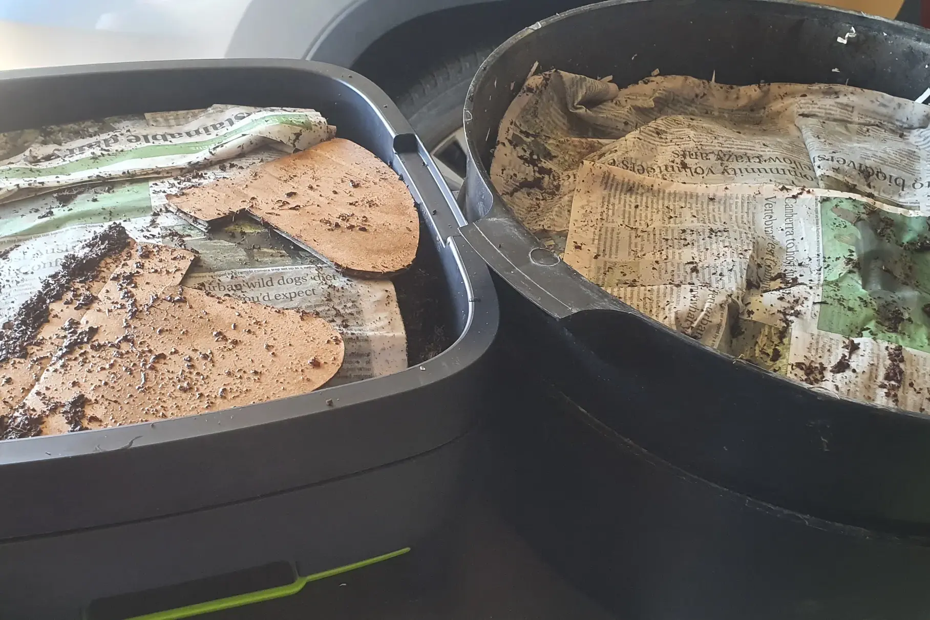 <p>With the hot weather finally here, it\\'s a reminder to look after your worm farms.</p>\\n