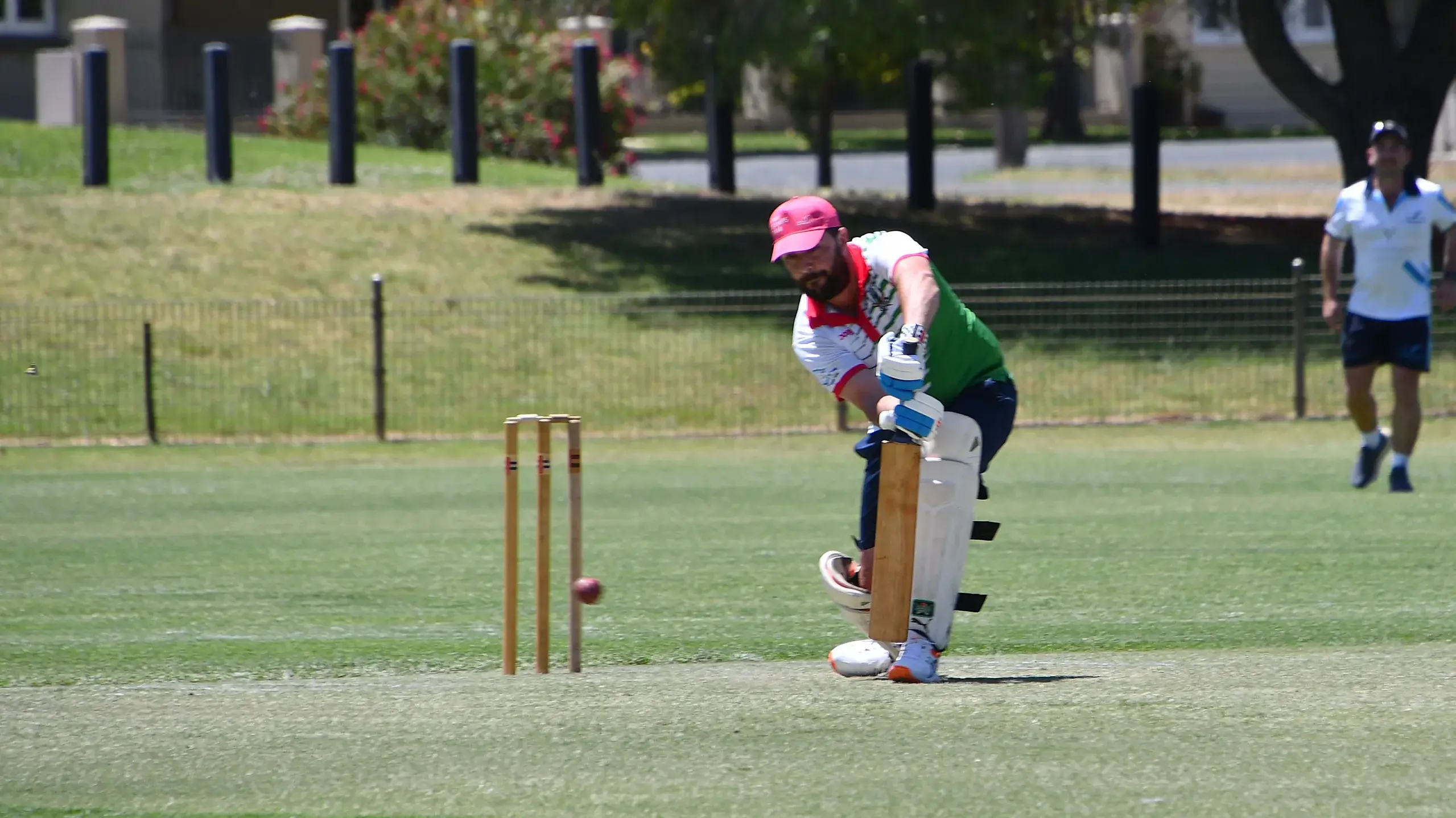 Raptors, Cats claim valuable wins in T20 matches