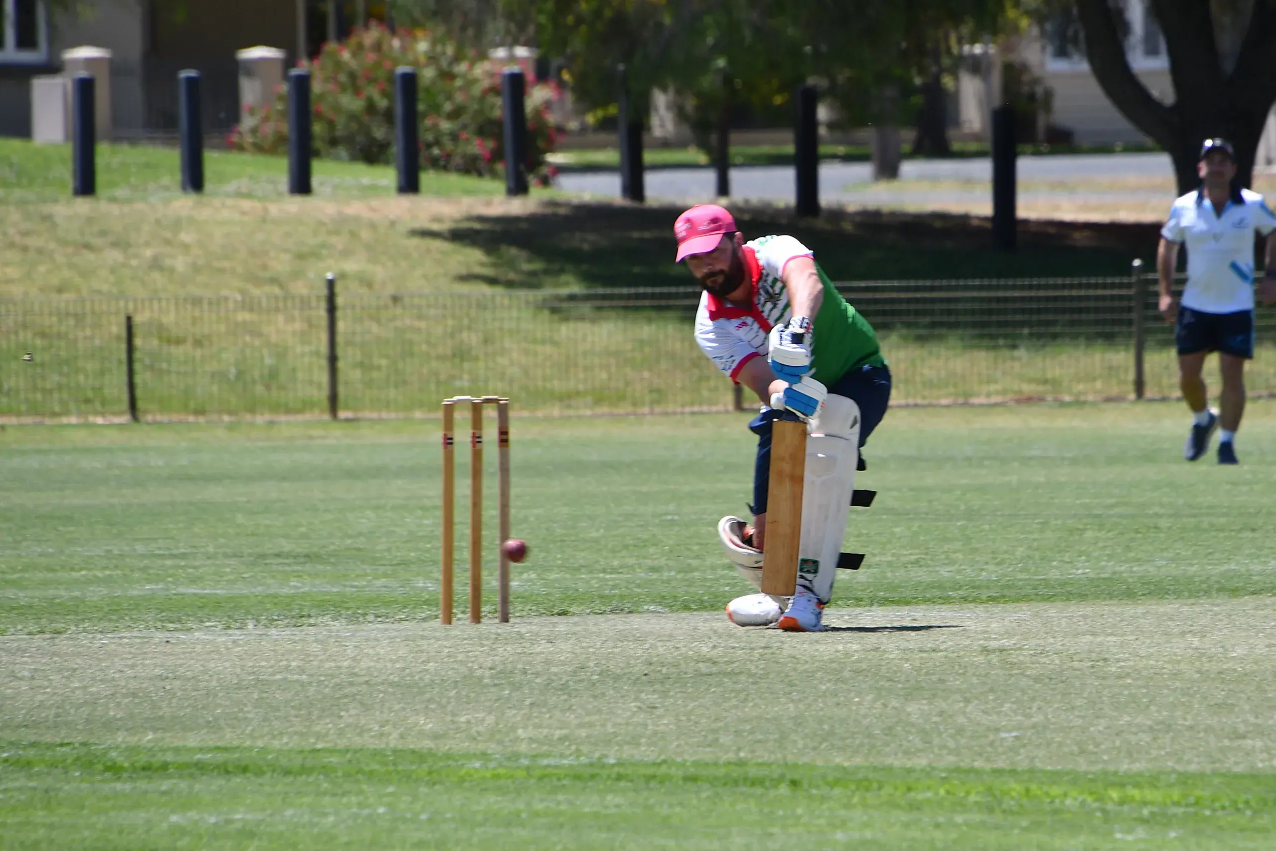 Raptors, Cats claim valuable wins in T20 matches