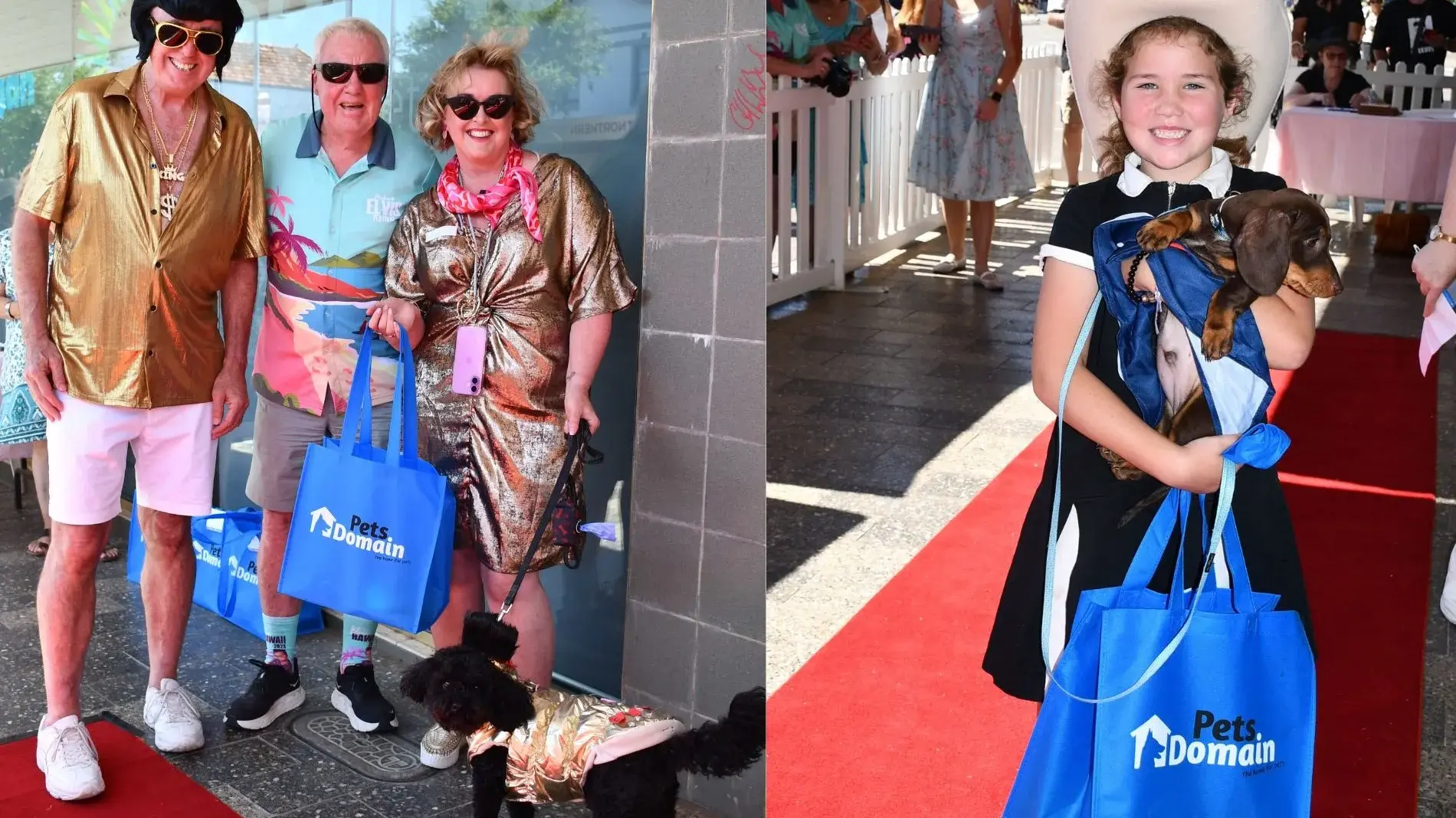 Hound dogs kings of bark n roll