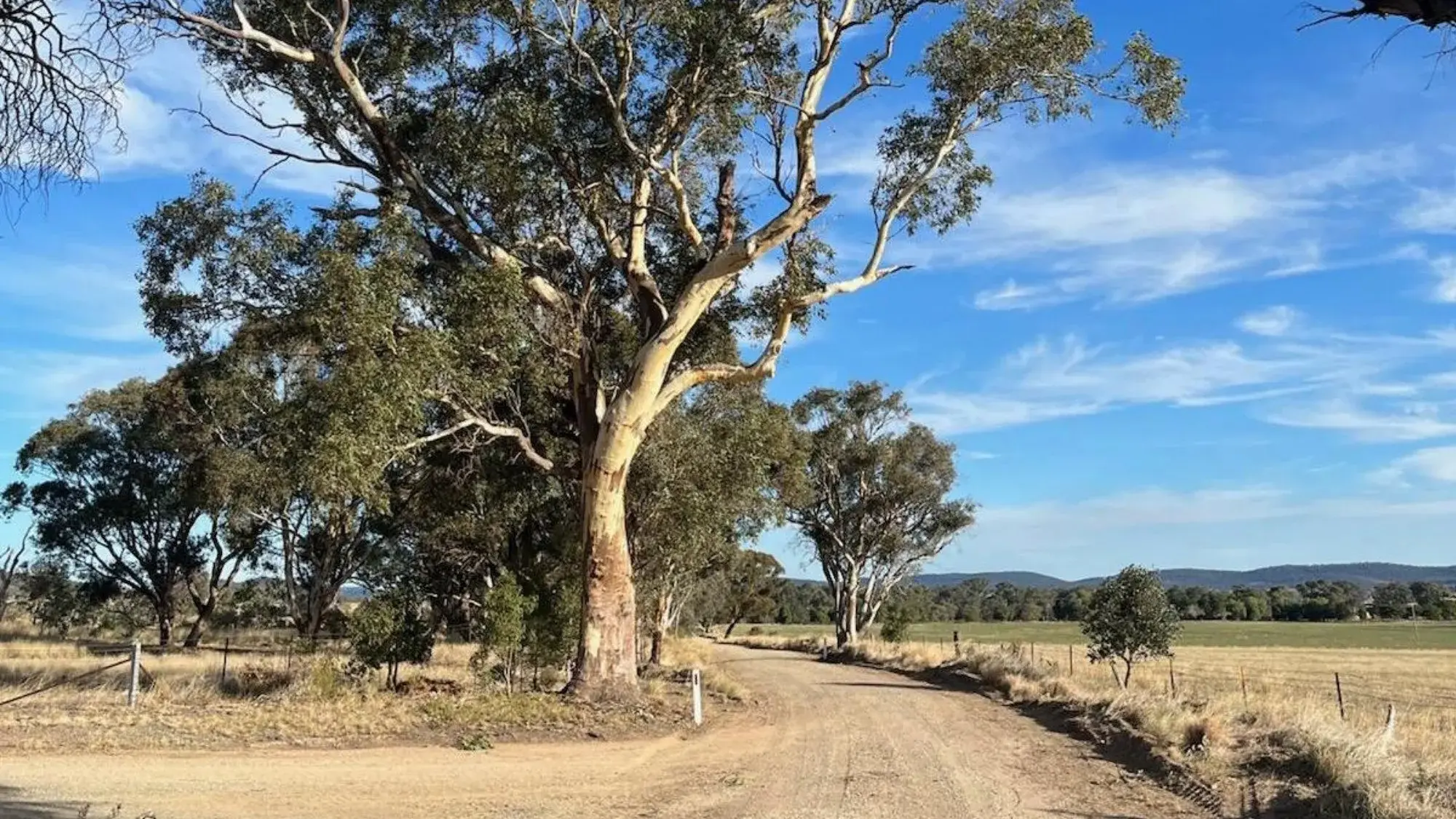 Two key roads to be fully sealed