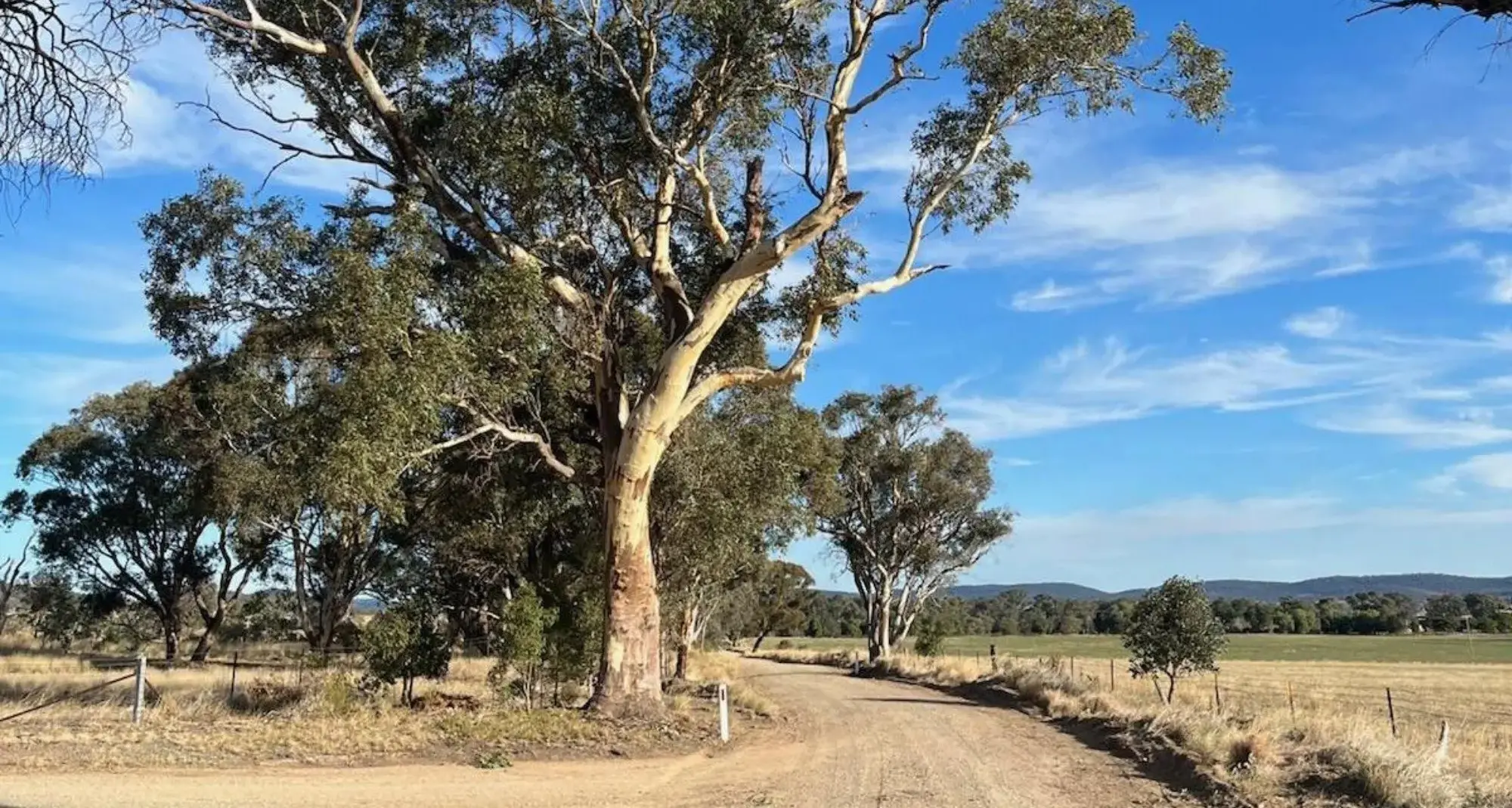 Two key roads to be fully sealed