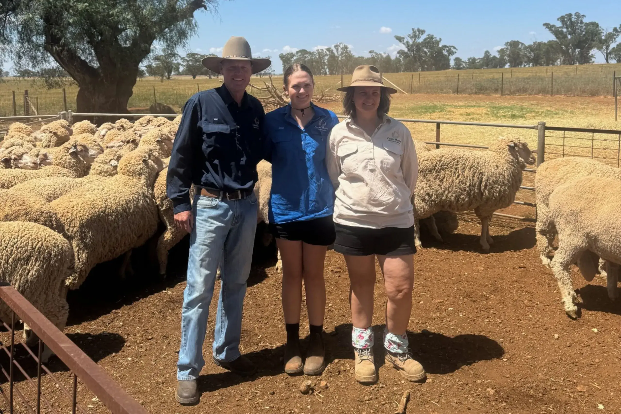 <p>Glen, Jesse and Sharon Woods with the 2025 Champion Flock at \"Cooks Myalls\". PHOTOS: Supplied</p>\\n