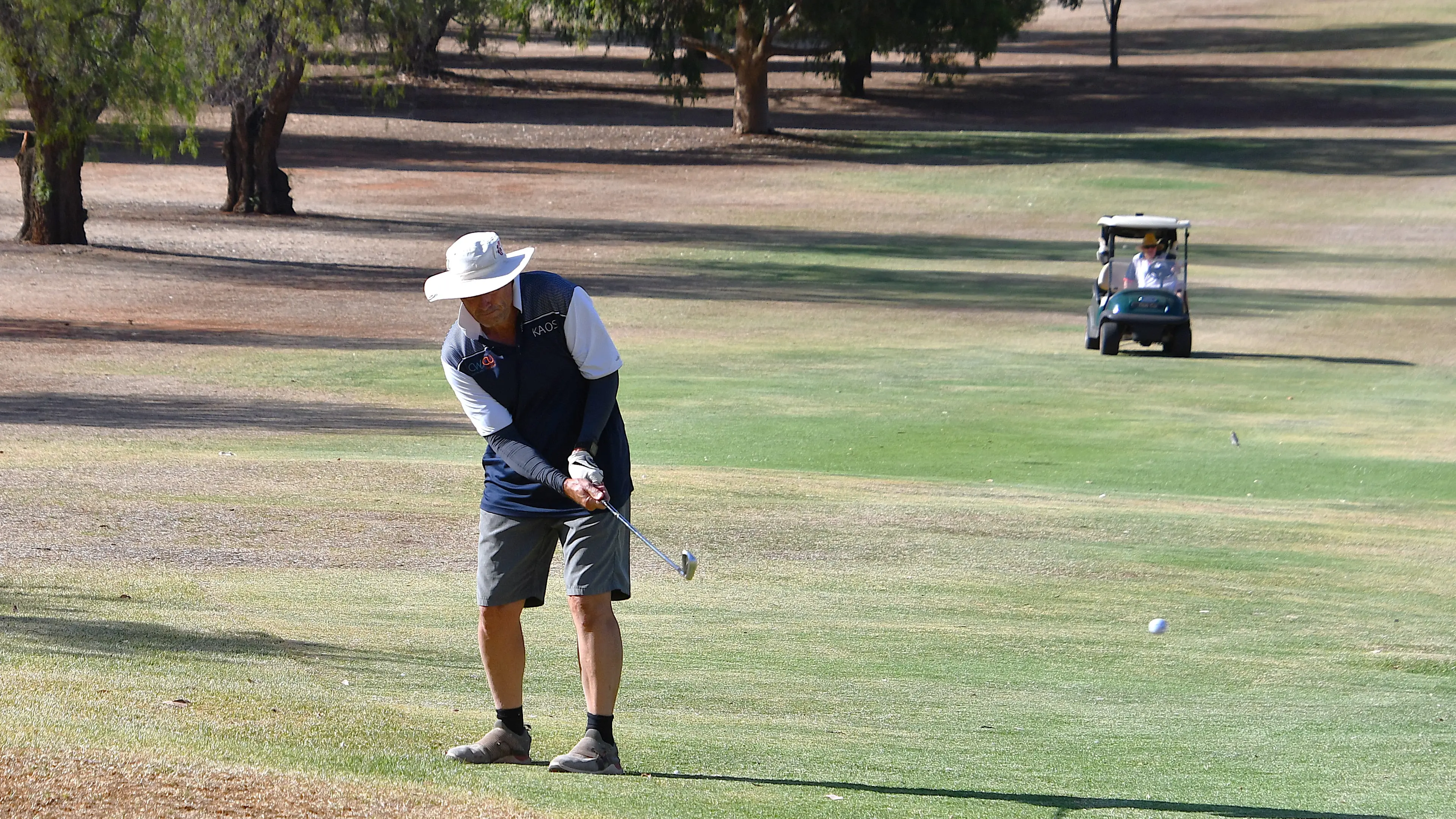 Wilkie dominates medal day while Thomson shines in stableford