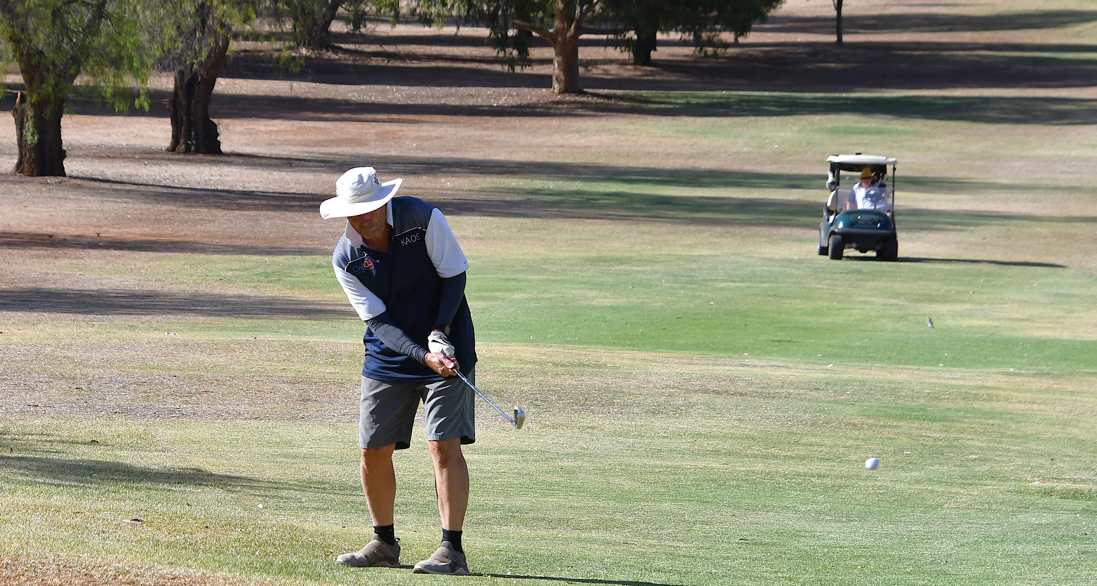 Wilkie dominates medal day while Thomson shines in stableford