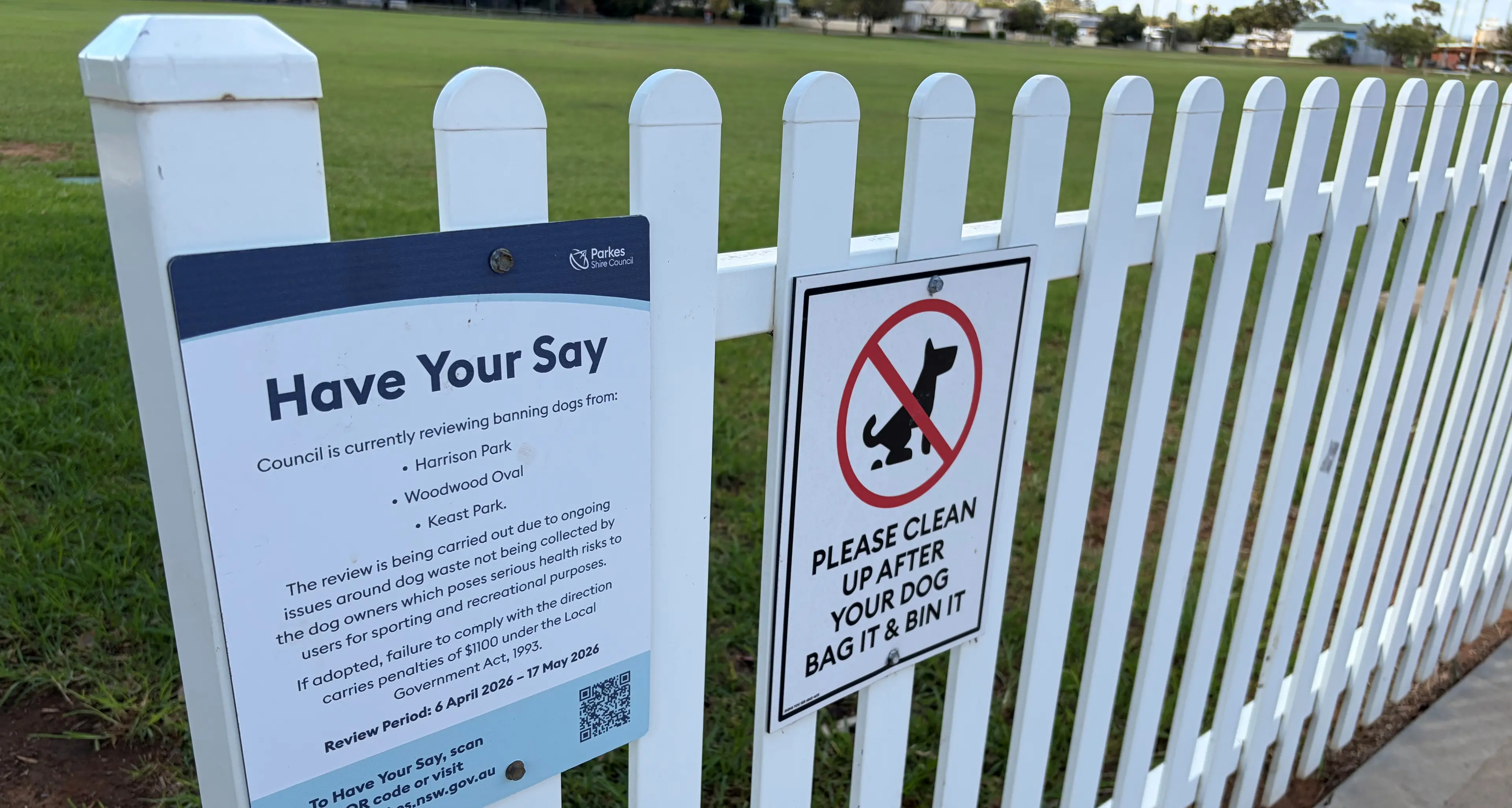Council reviews dog access at sport fields