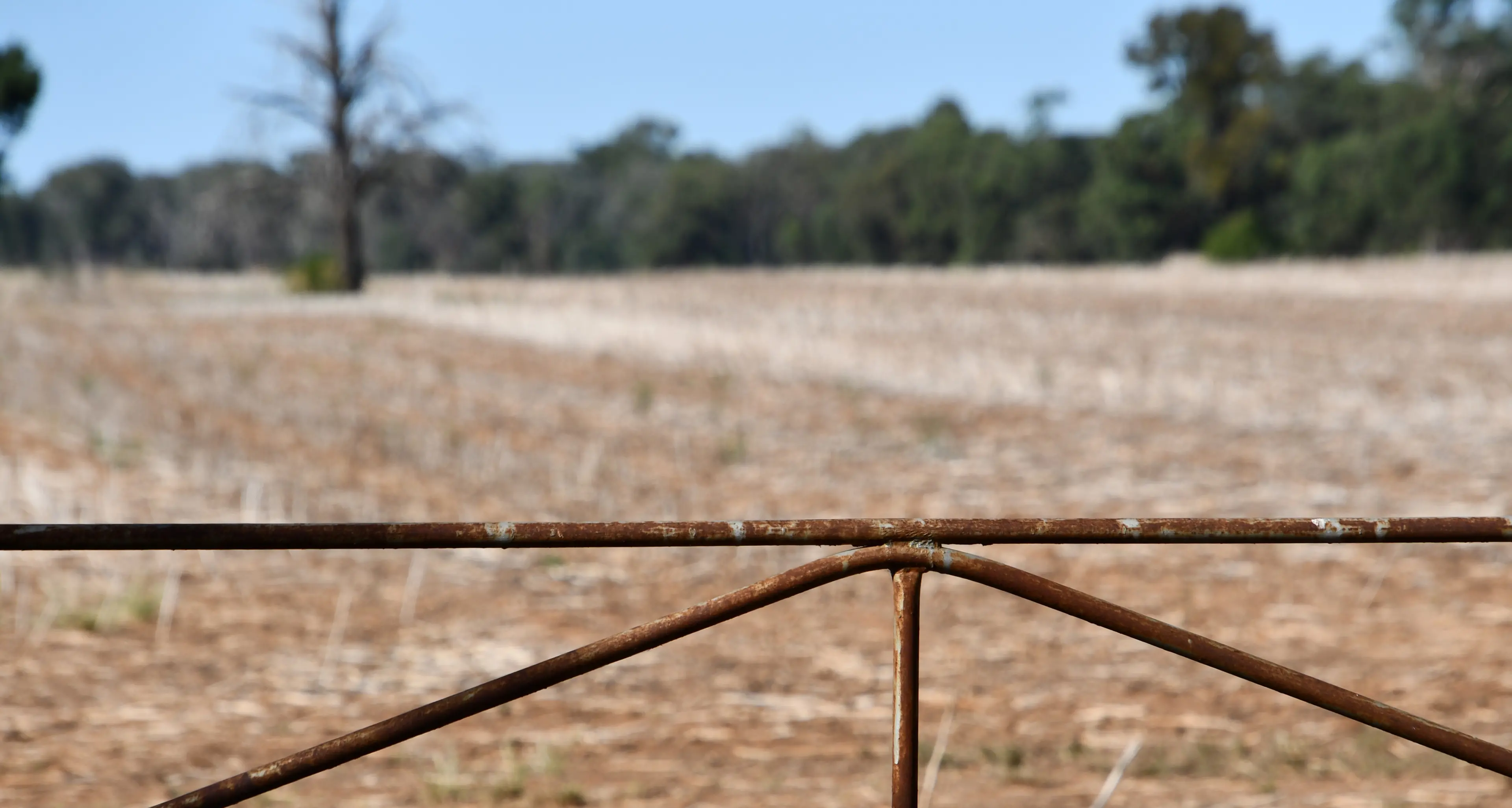 Break-in attempt leads to drug, gun arrests