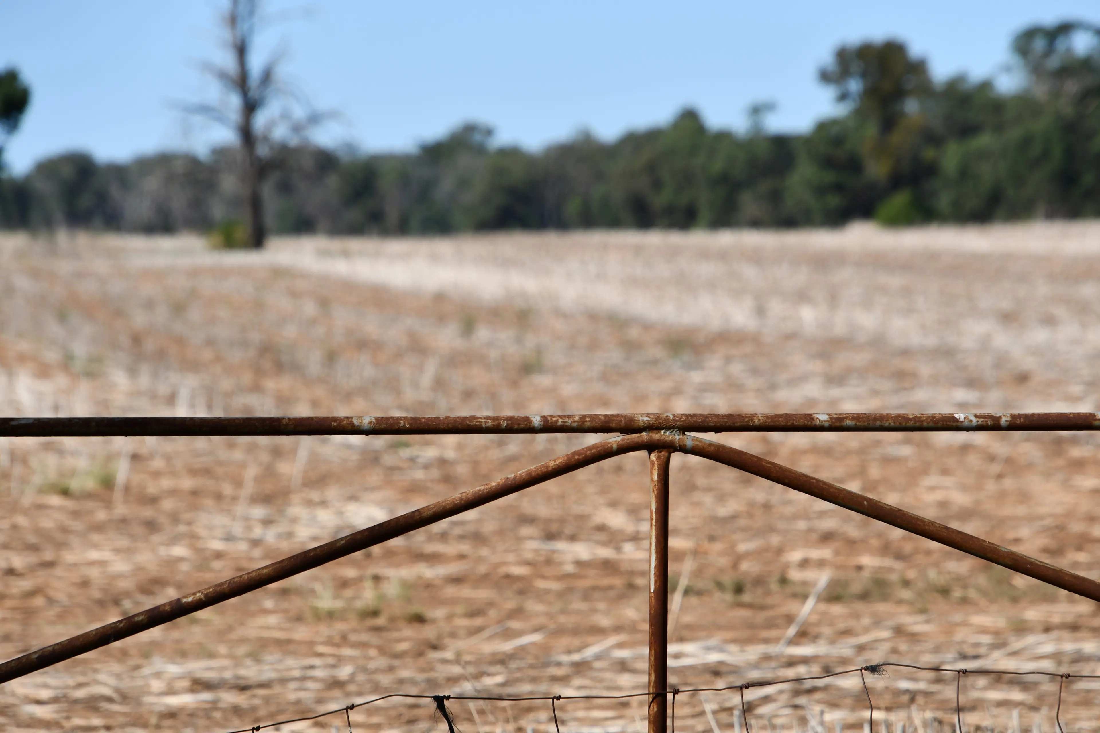 Break-in attempt leads to drug, gun arrests