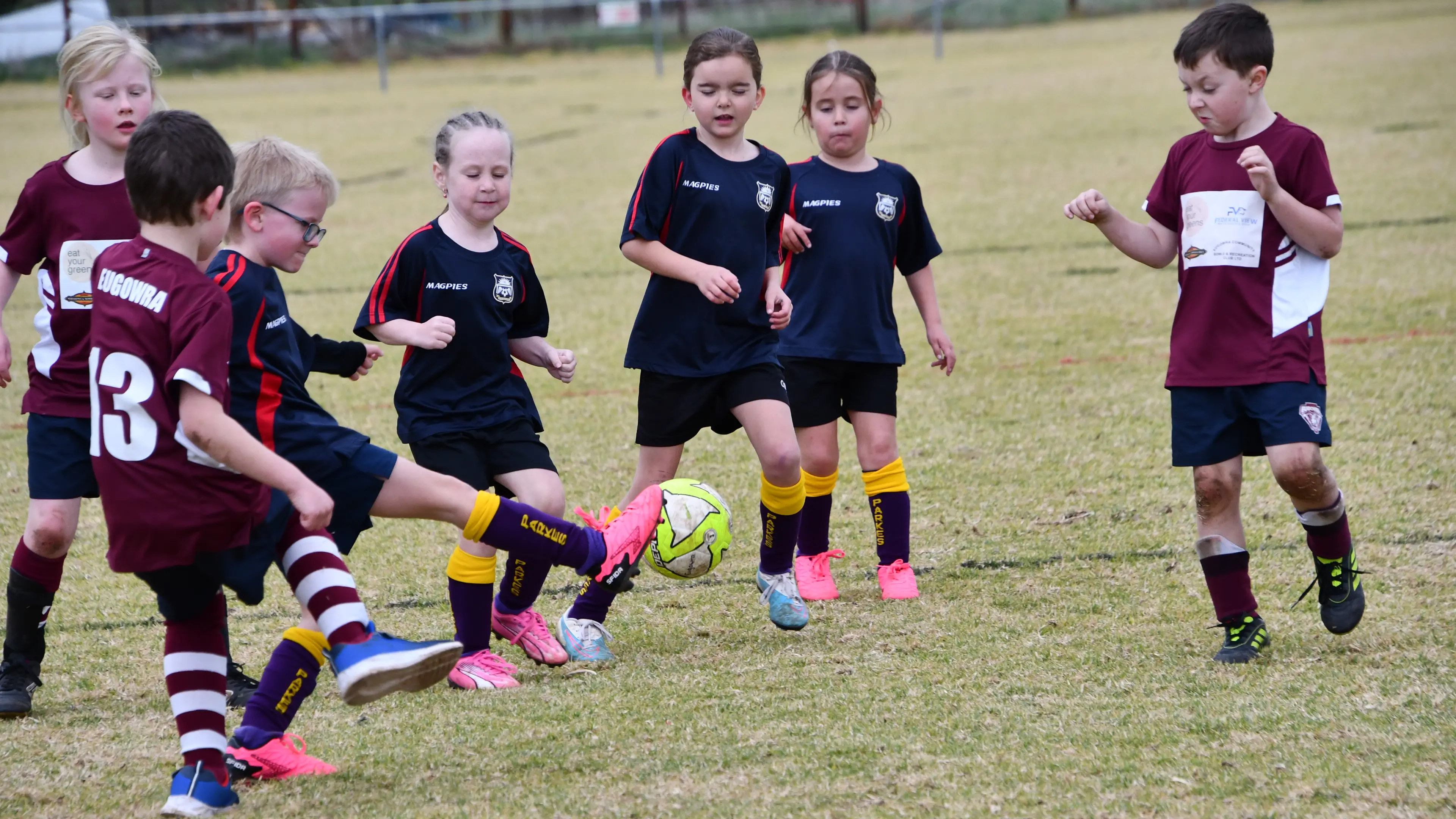 Soccer kicks-off Saturday at Harrison