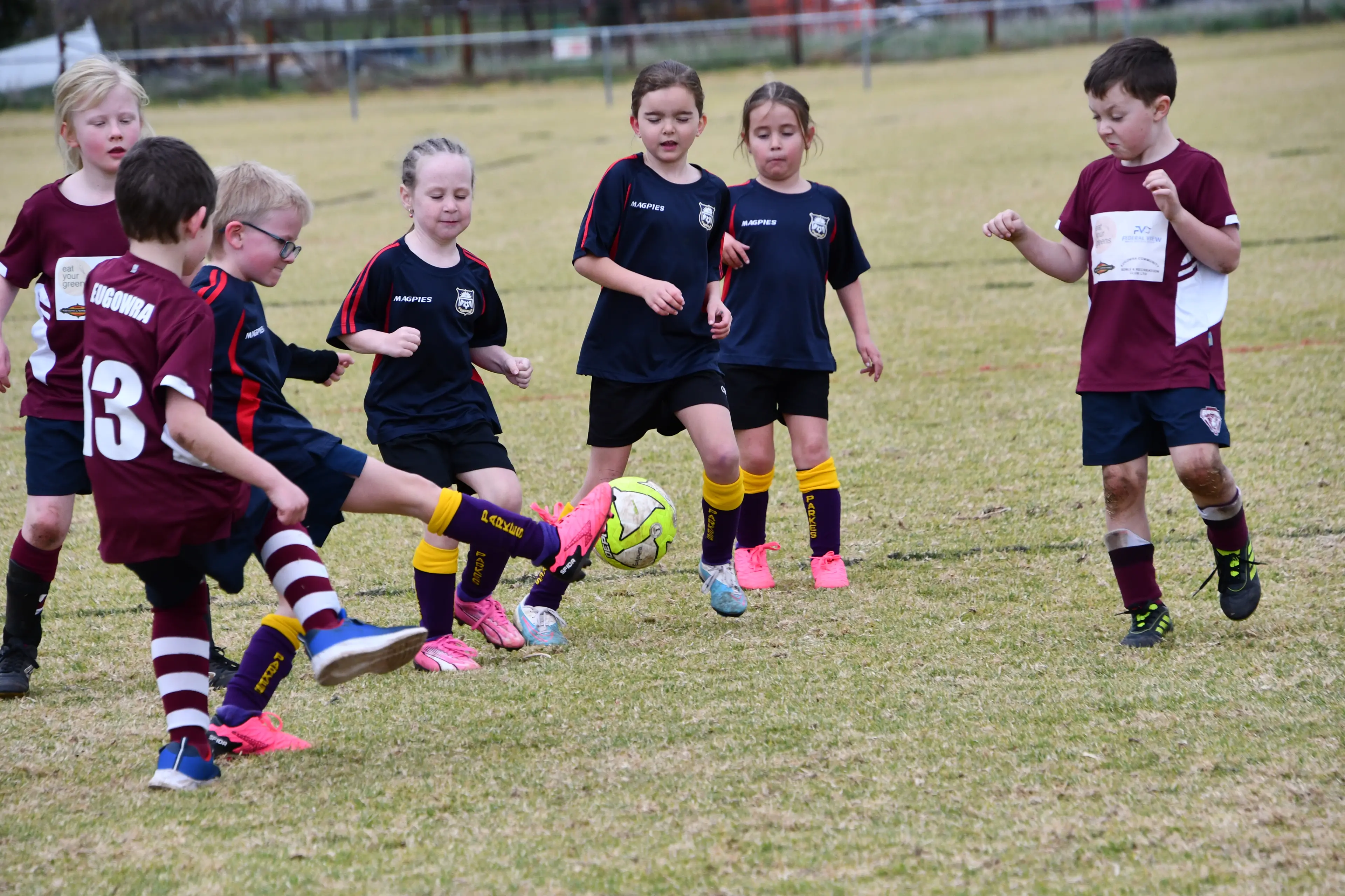 <p>Last year\\'s under 8s soccer players from Parkes and Eugowra in action. PHOTO: Jenny Kingham</p>\\n