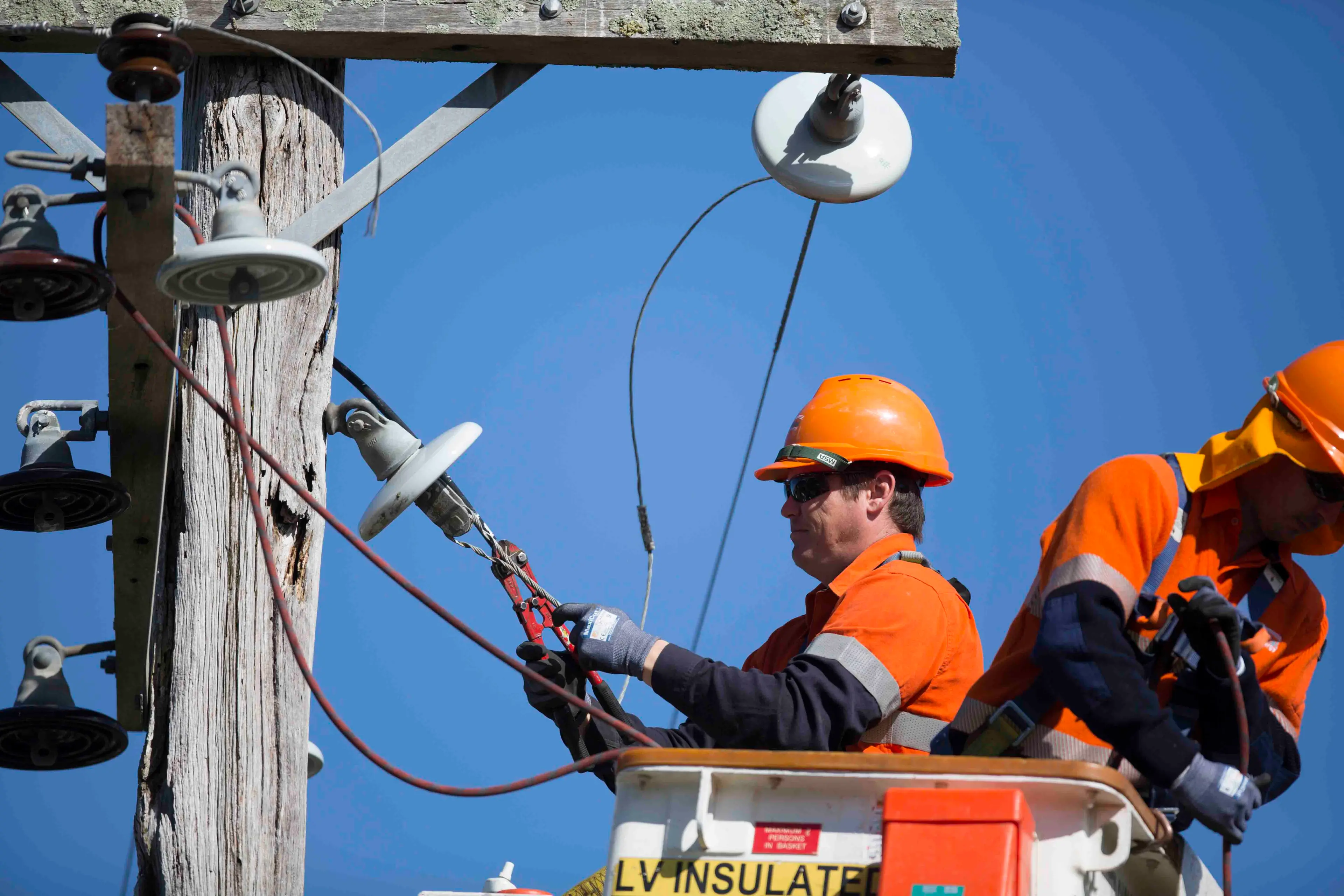 <p>File photo. PHOTO: Essential Energy</p>\\n