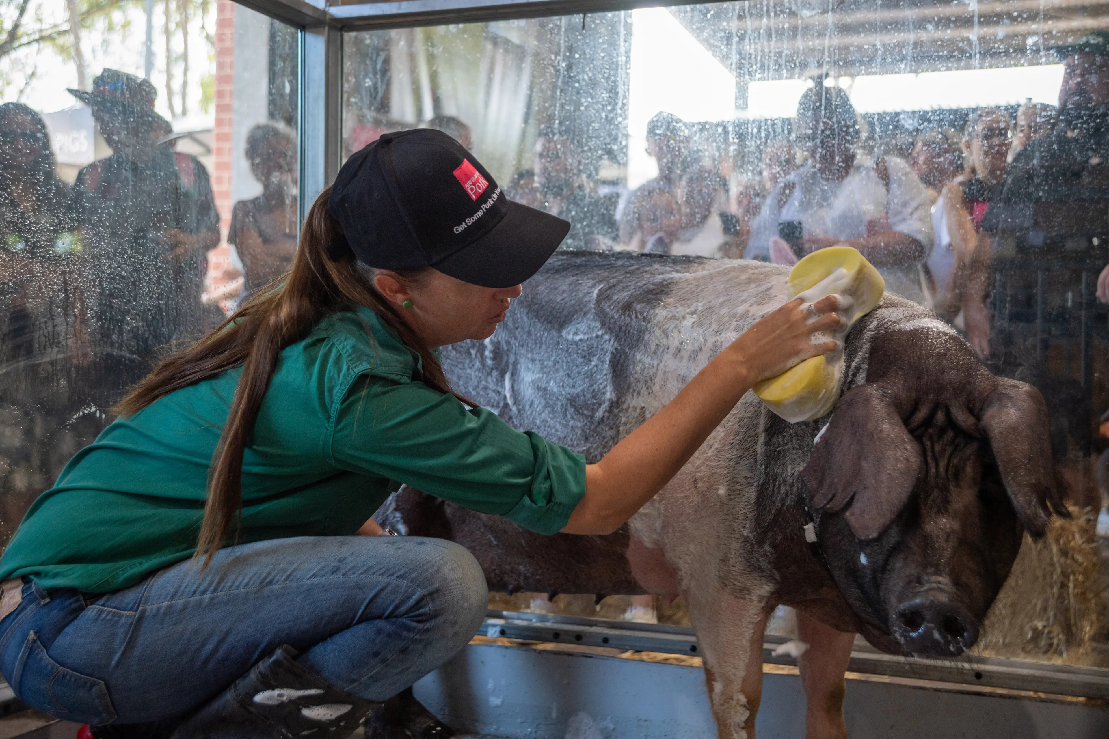 _JWP0382