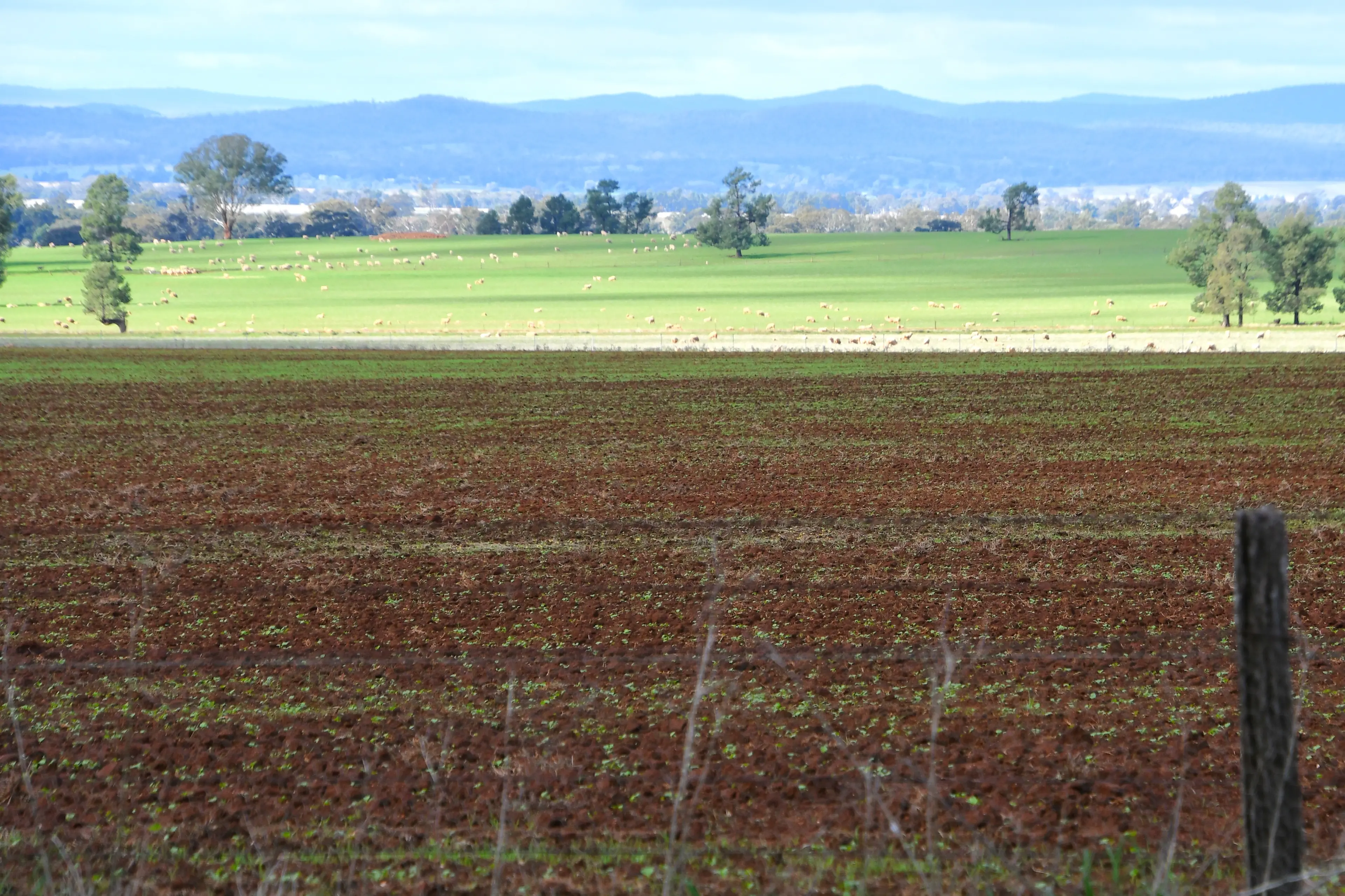 May rains revive cropping outlook in central west