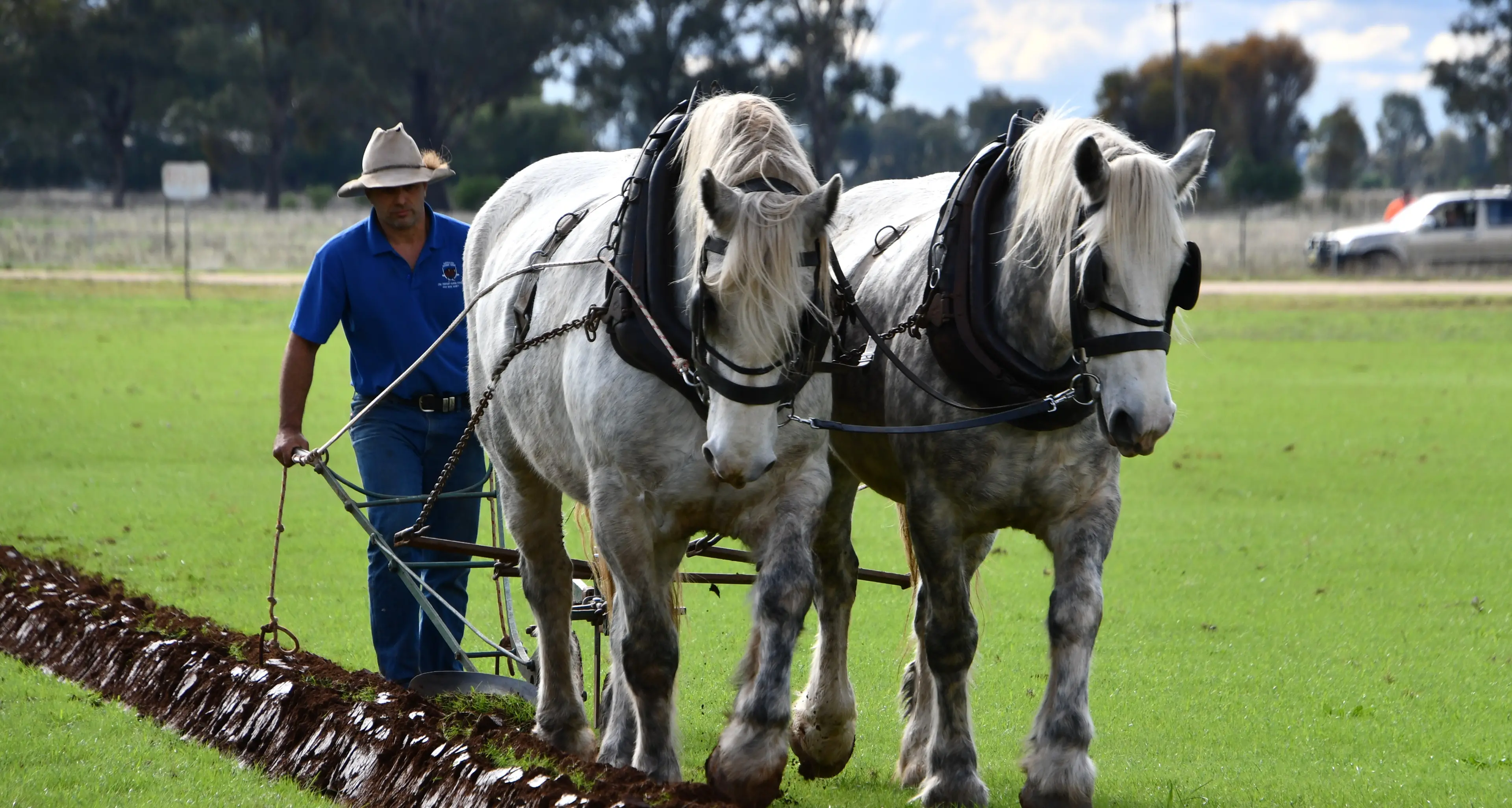 Agricultural history lives on at anniversary Golden Plough