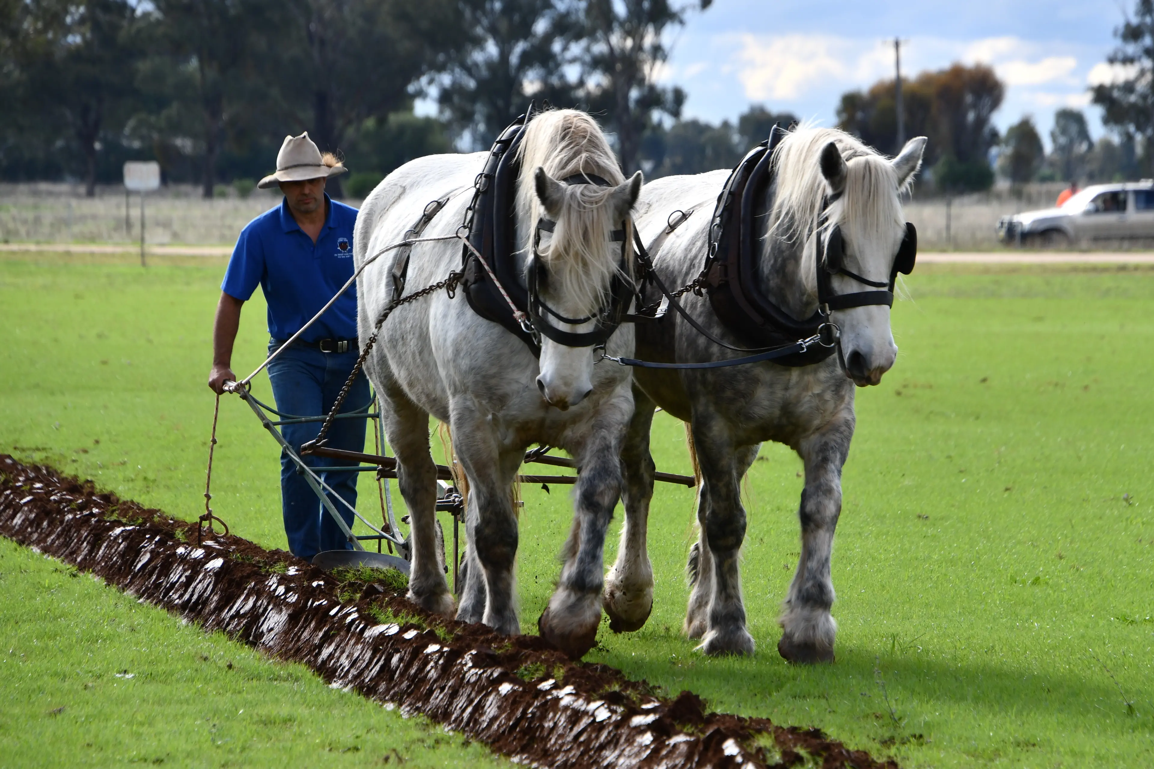 <p>Aleks Berzins from Exeter with Zapper and Zoupa create their first of ten furrows with great accuracy to become the winners of the 2026 Golden Plough competition. PHOTO: Jenny Kingham</p>\\n