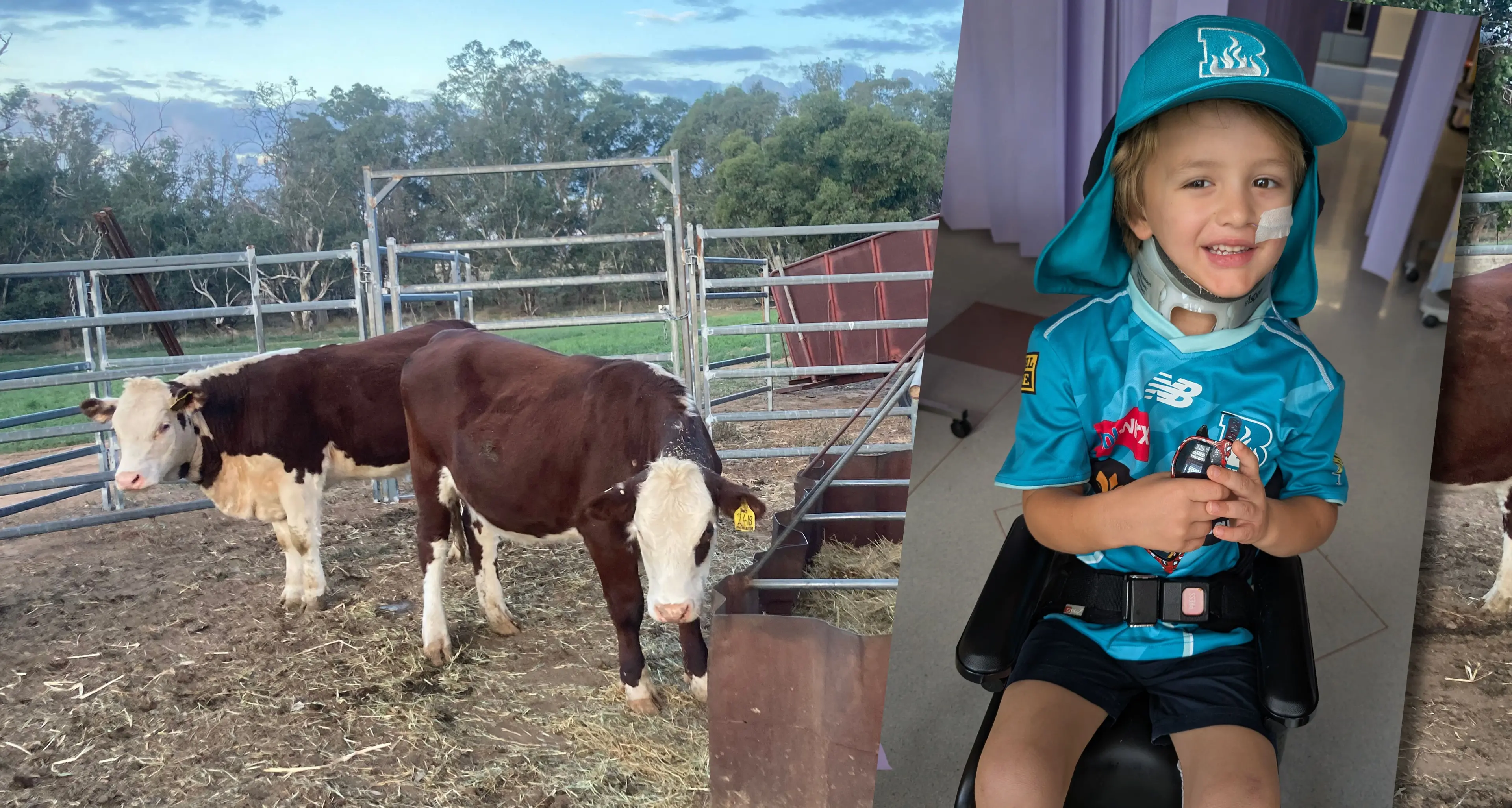 Community rallies behind family's thank you to RMHC