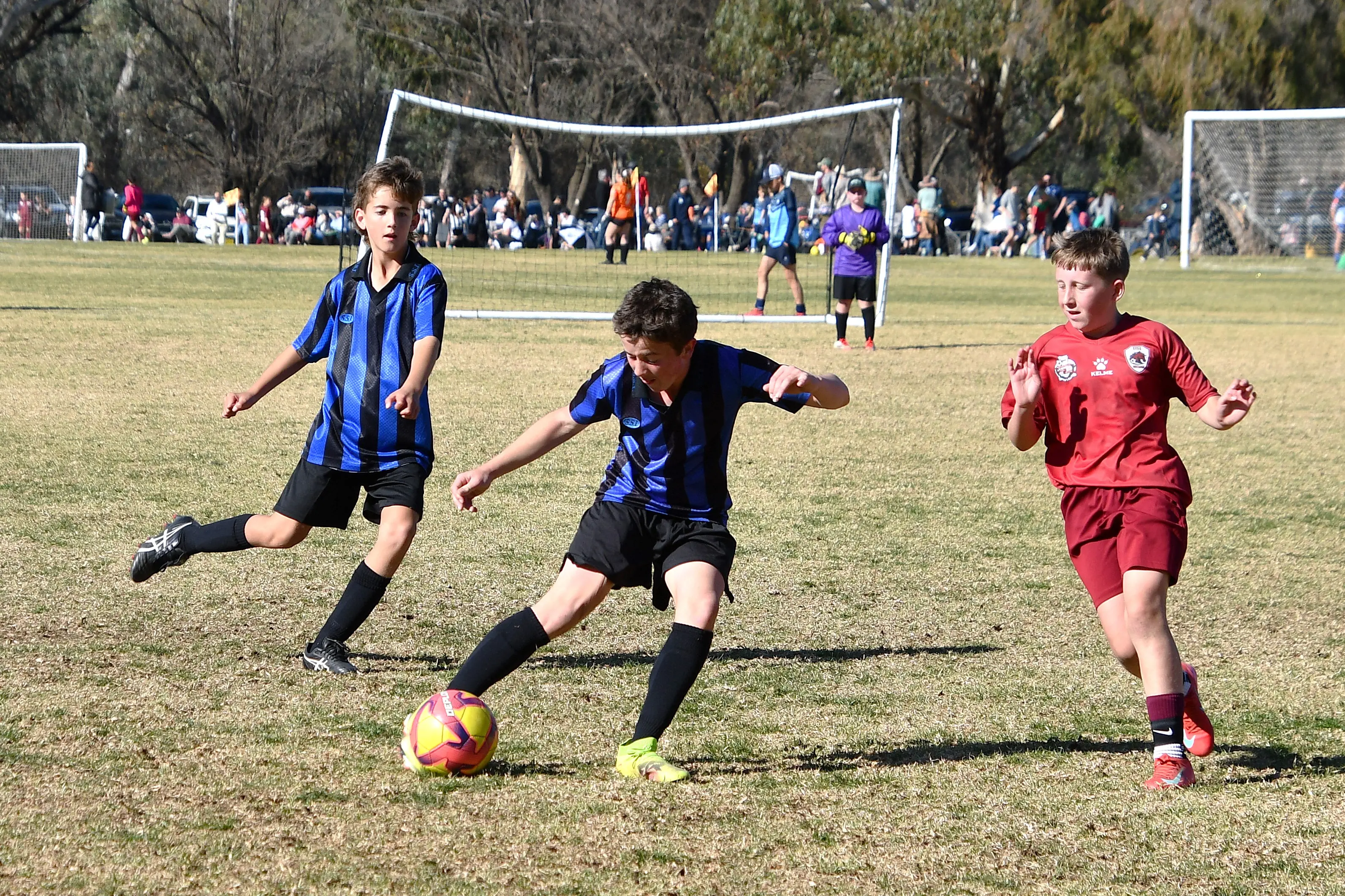 <p>Forbes soccer will host 100 teams at the annual gala day Sunday. </p>\\n