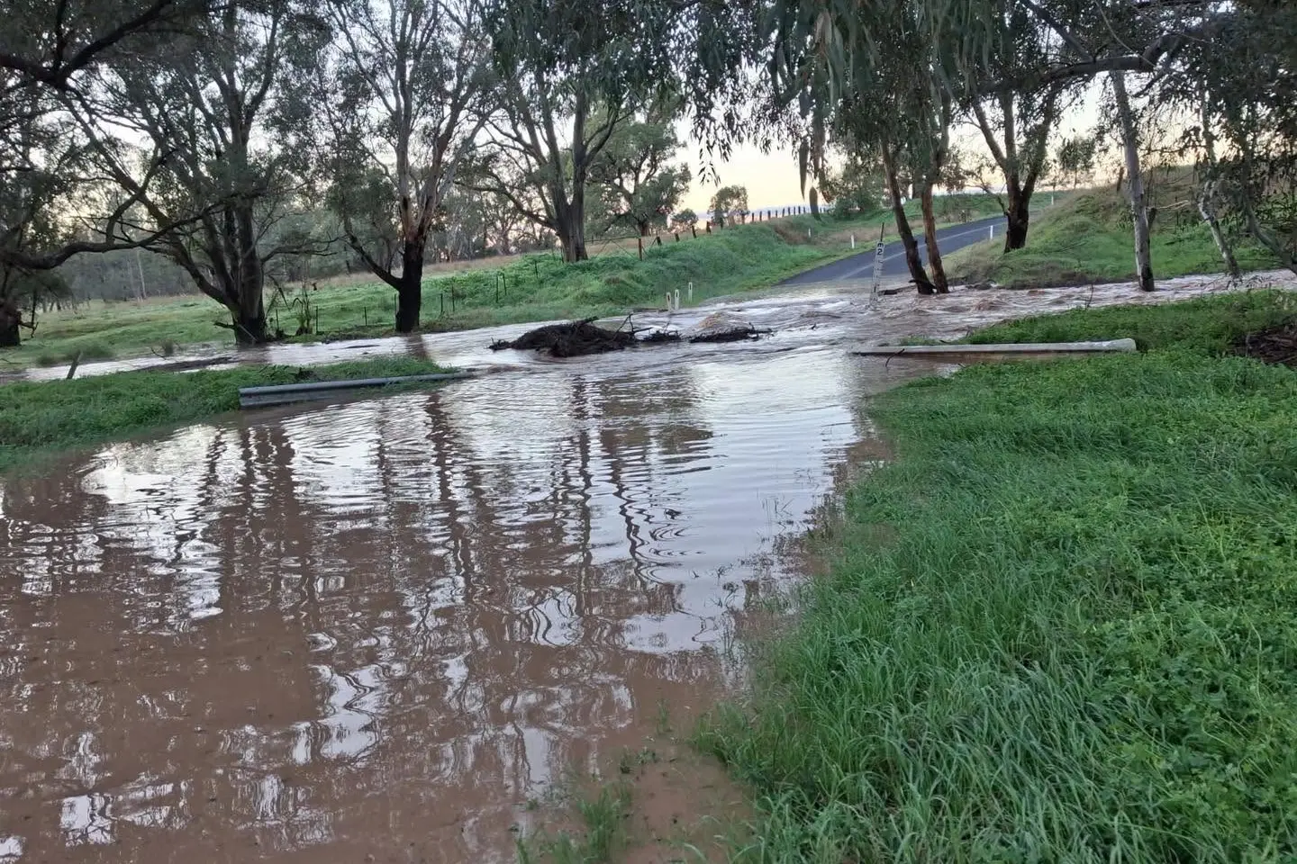 <p>Back Yamma Road flooding on Thursday morning, about 60cm deep at the Bartleys Creek crossing. PHOTO: Western Road Liners</p>\\n