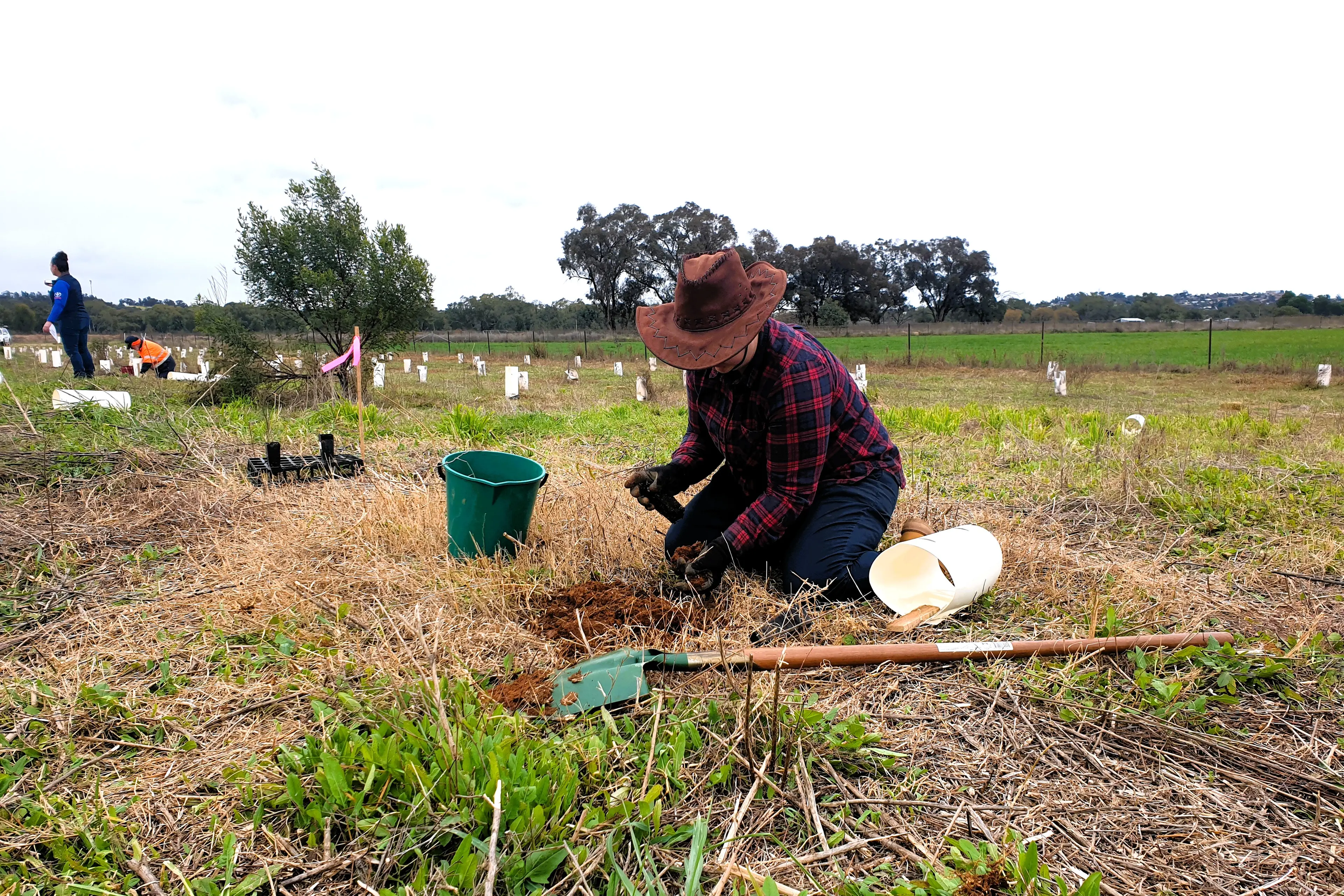 <p>Volunteers have returned to Akuna Road, near the Parkes Wastewater Treatment Plant, for more than a decade now.</p>\\n
