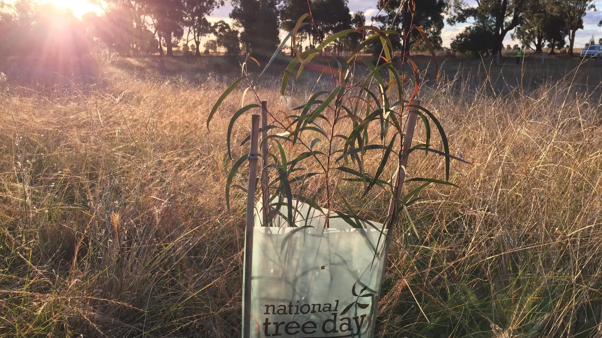 Landcare partner with council for National Tree Day