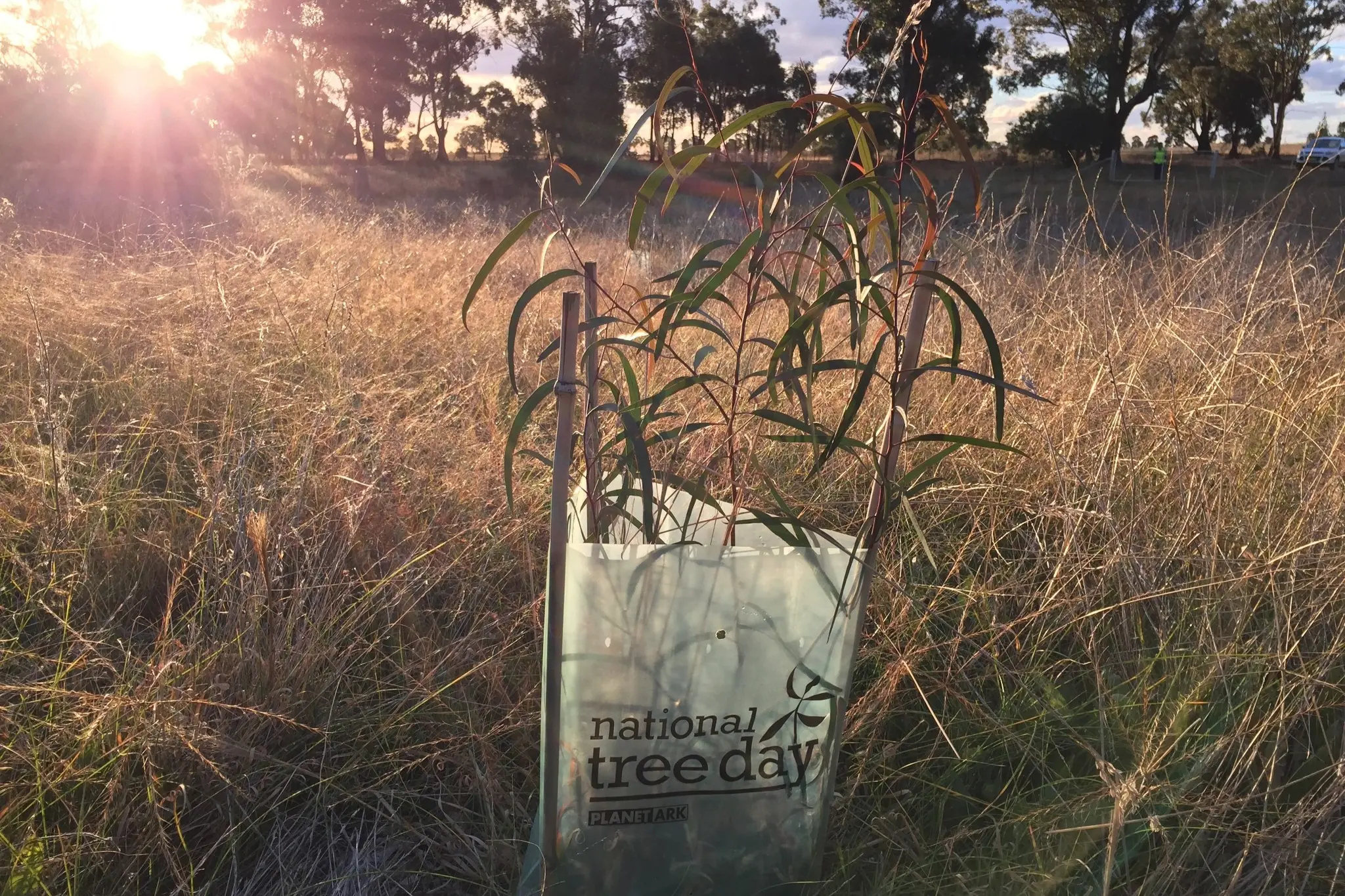 <p>Central West Lachlan Landcare is once again partnering with Forbes and Parkes Shire Councils to bring local communities together for National Tree Day. </p>\\n