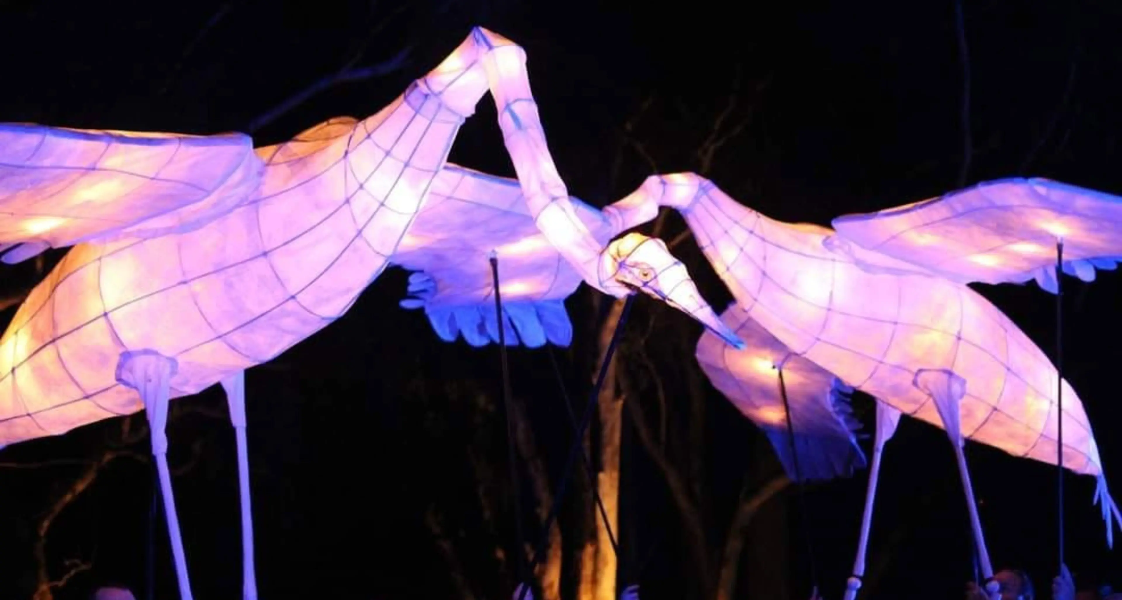 What's on in and around Parkes