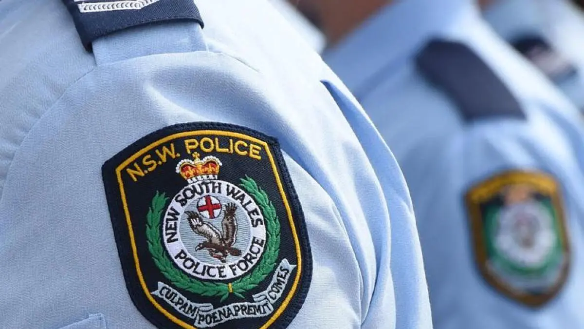 DV operation ends with 24 arrests across region